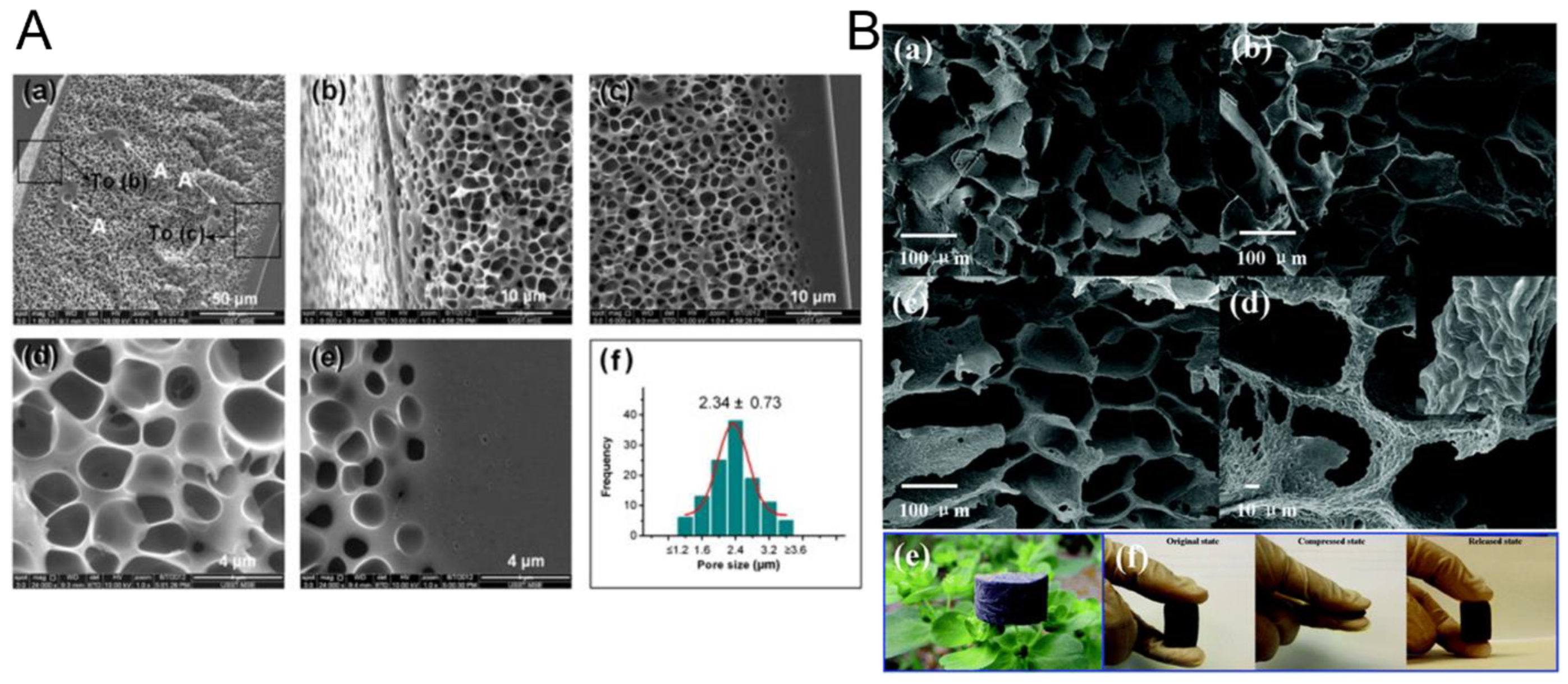 Nanomaterials 15 01558 g006 Nanomaterials 15 01558 g006