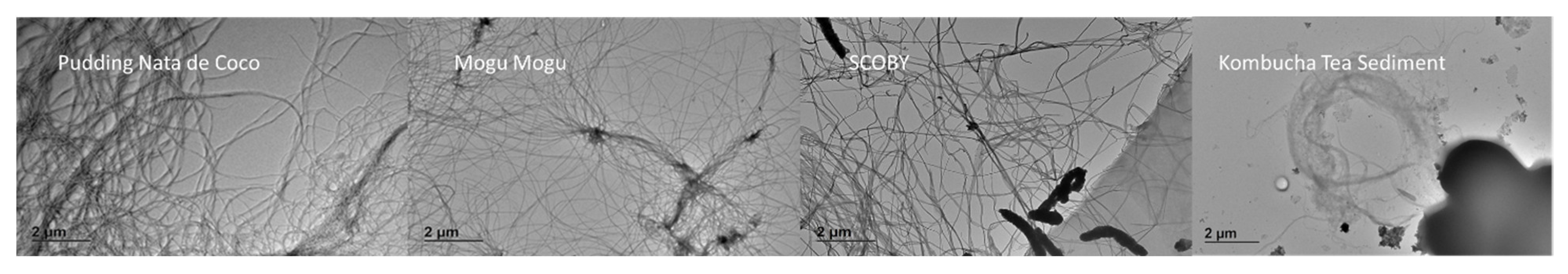 Nanomaterials 15 01565 g008 Nanomaterials 15 01565 g008