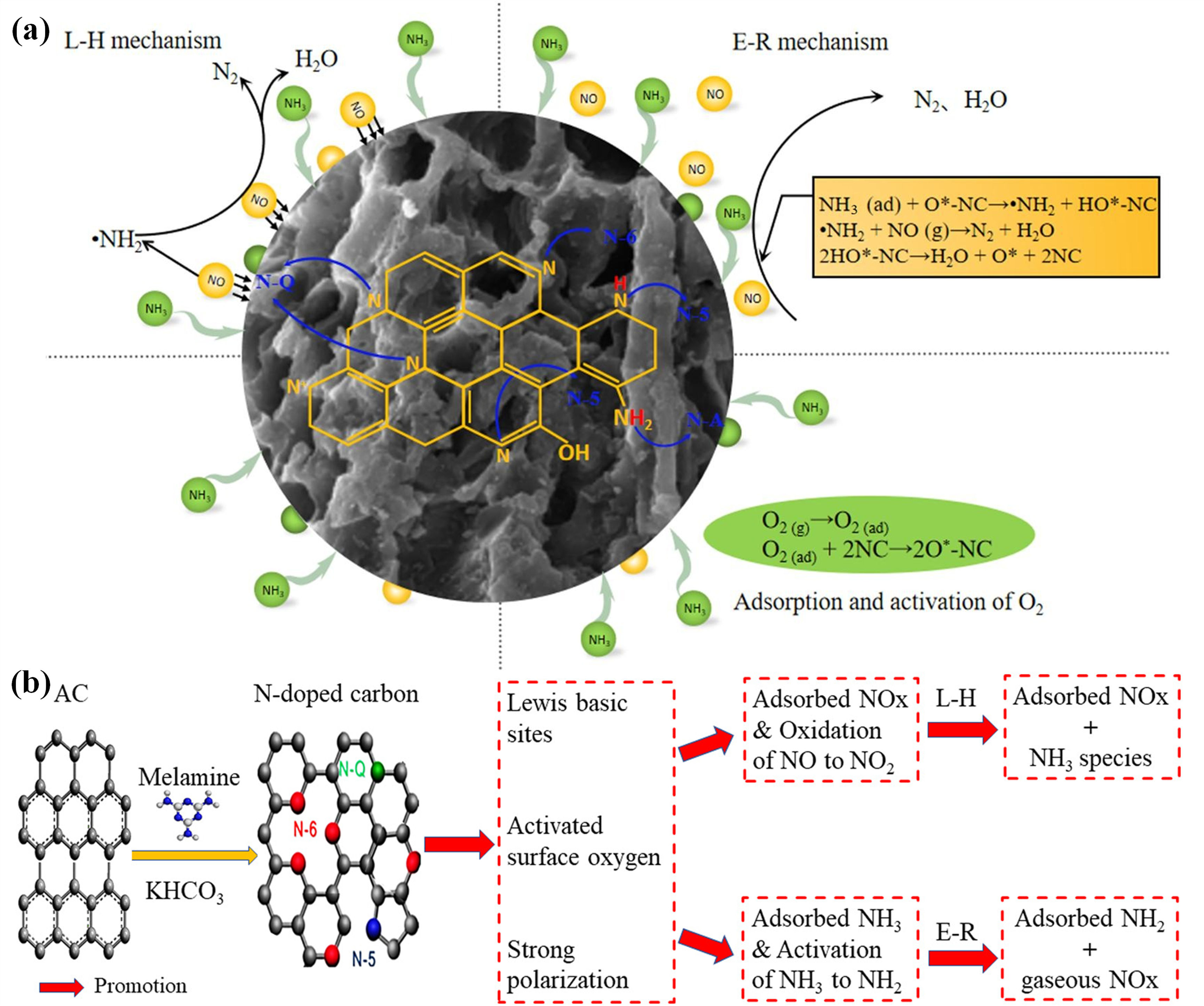Nanomaterials 15 01566 g001