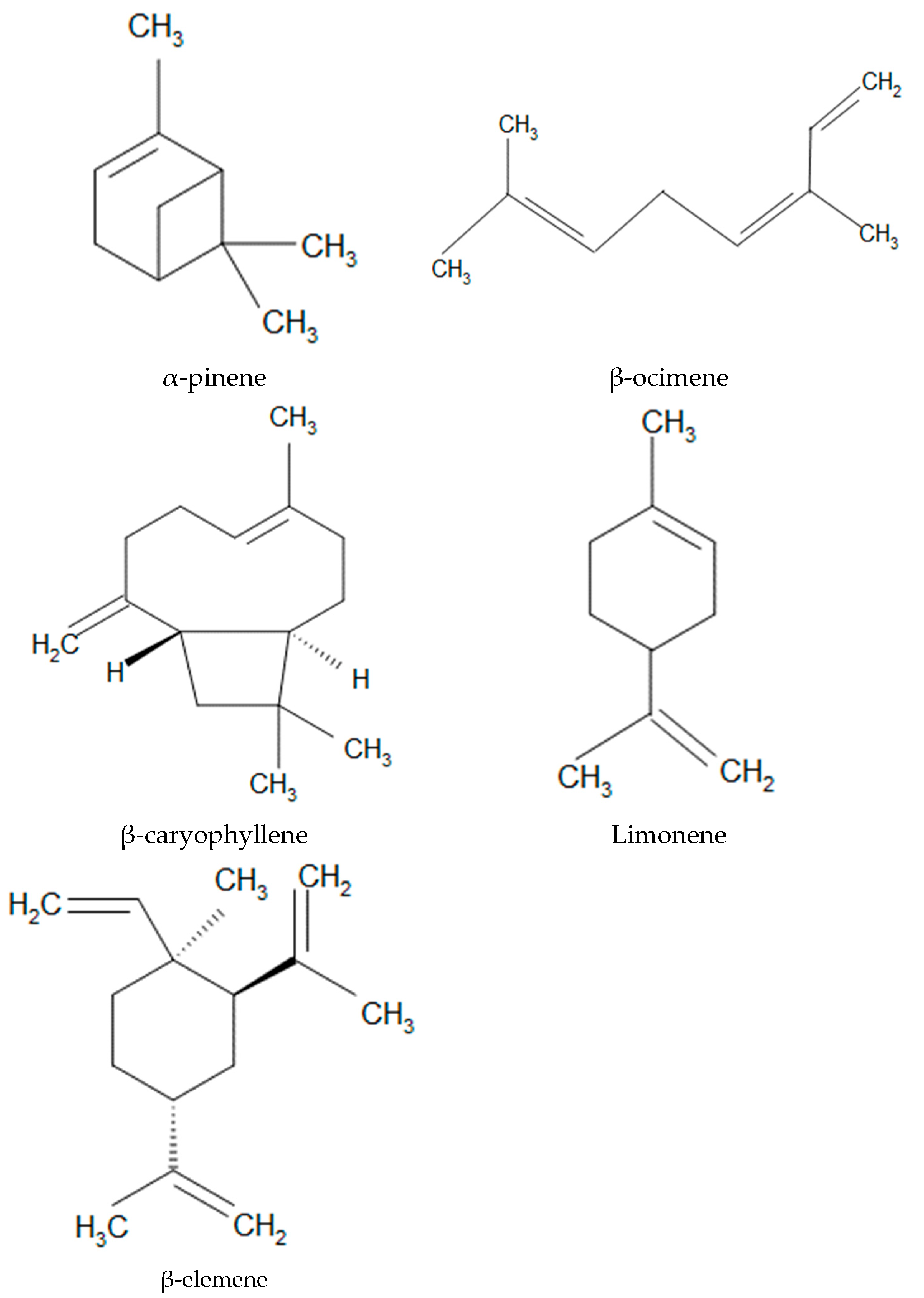 Nanomaterials 15 01573 g001