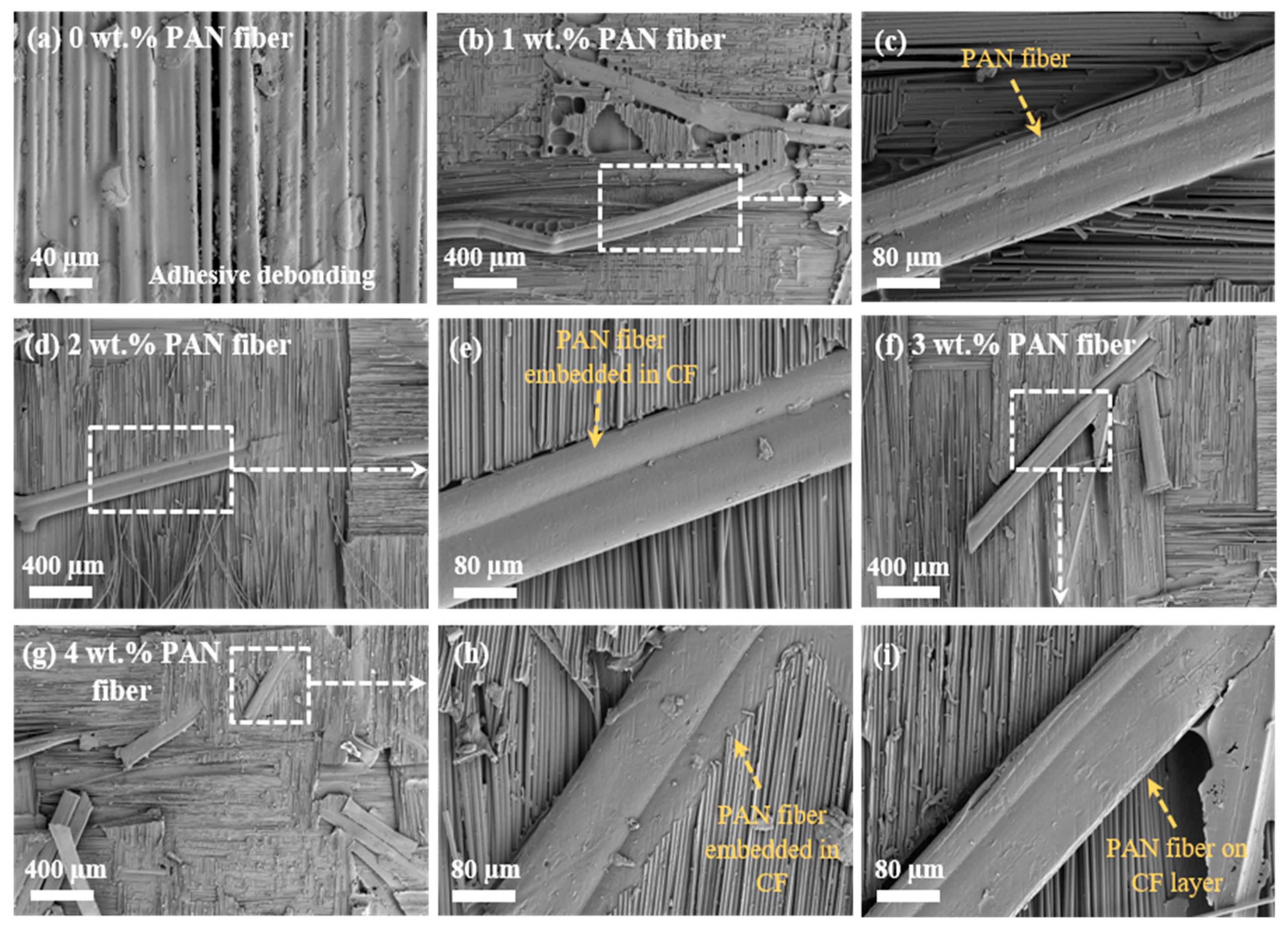 Nanomaterials 15 01576 g007