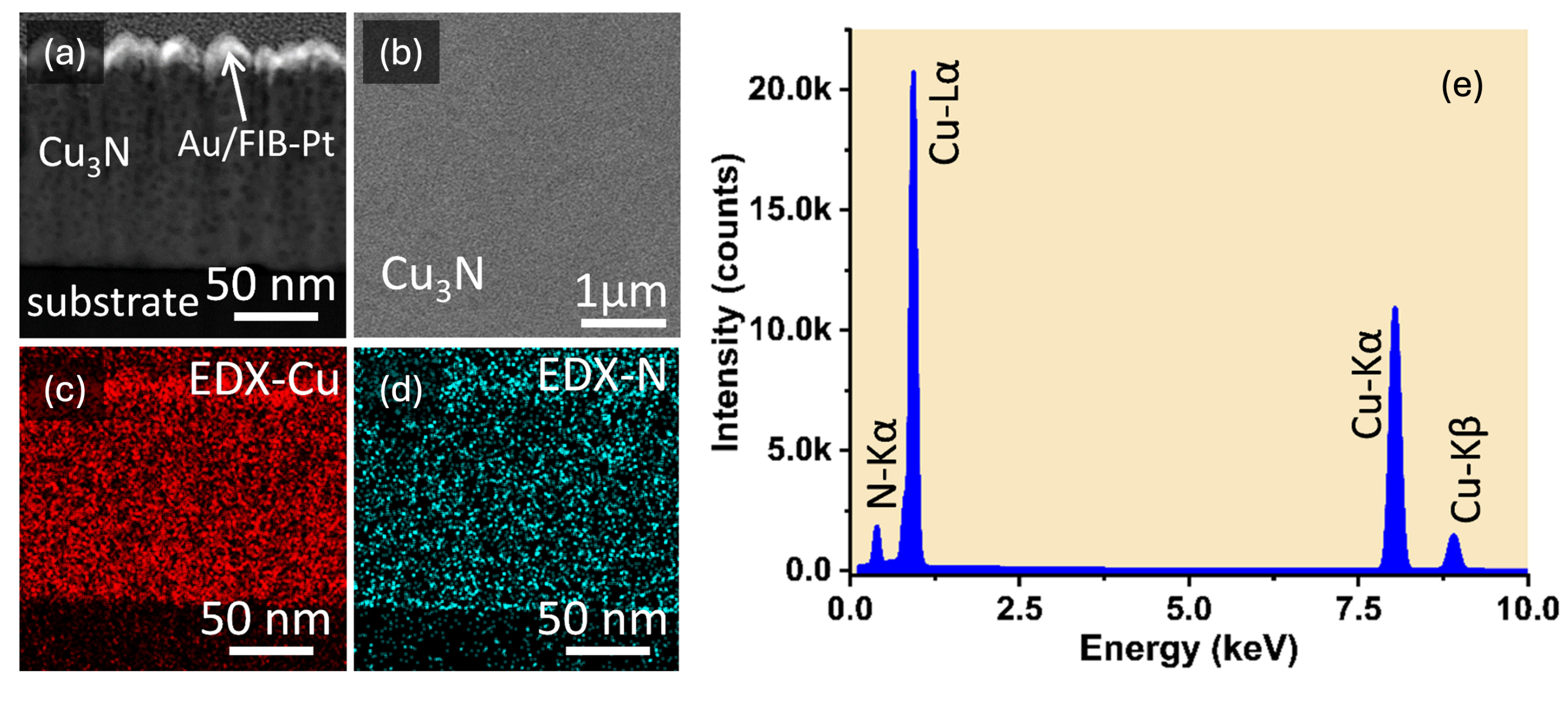 Nanomaterials 15 01577 g005