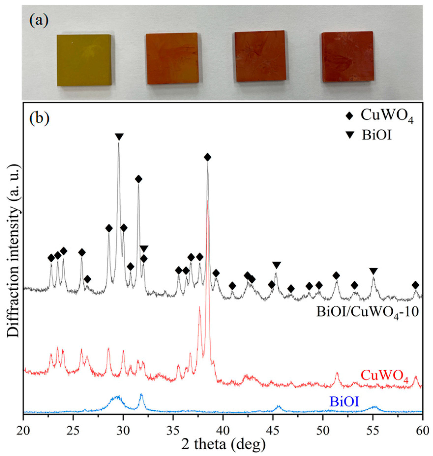 Nanomaterials 15 01579 g001