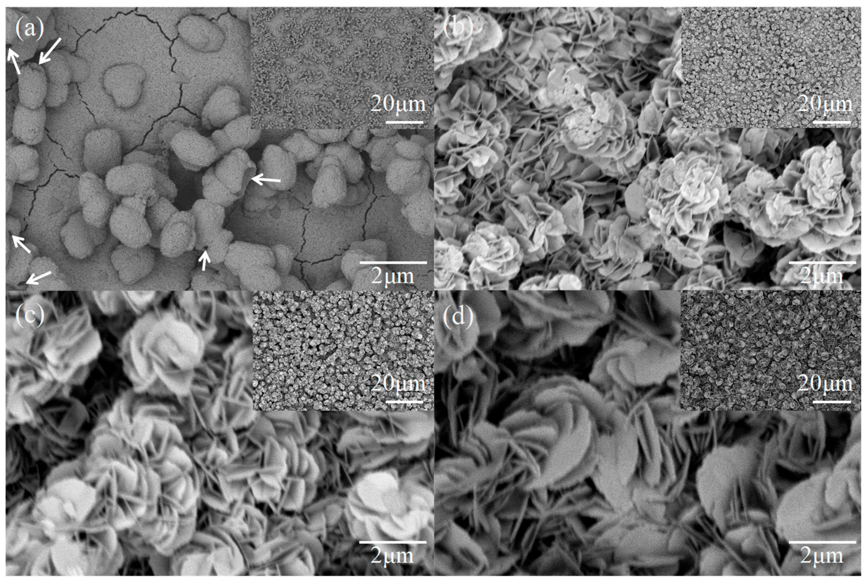 Nanomaterials 15 01579 g002