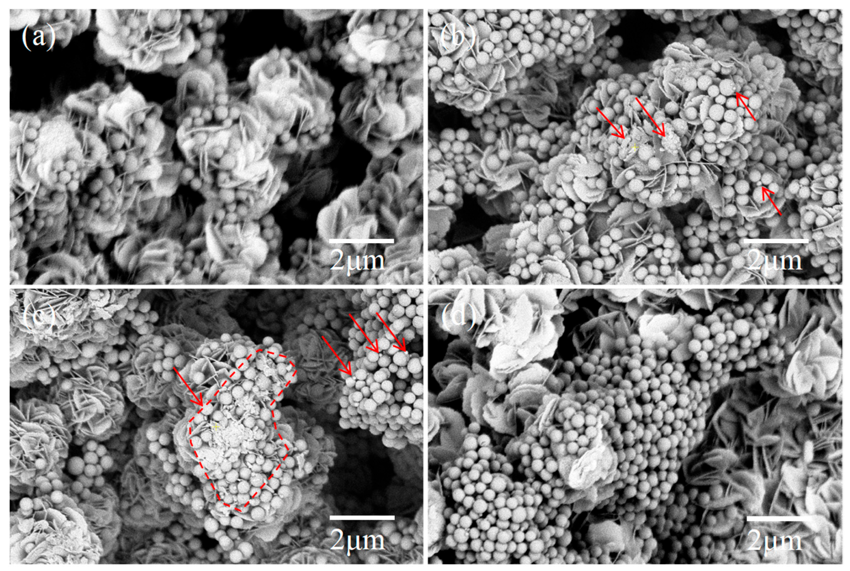 Nanomaterials 15 01579 g010