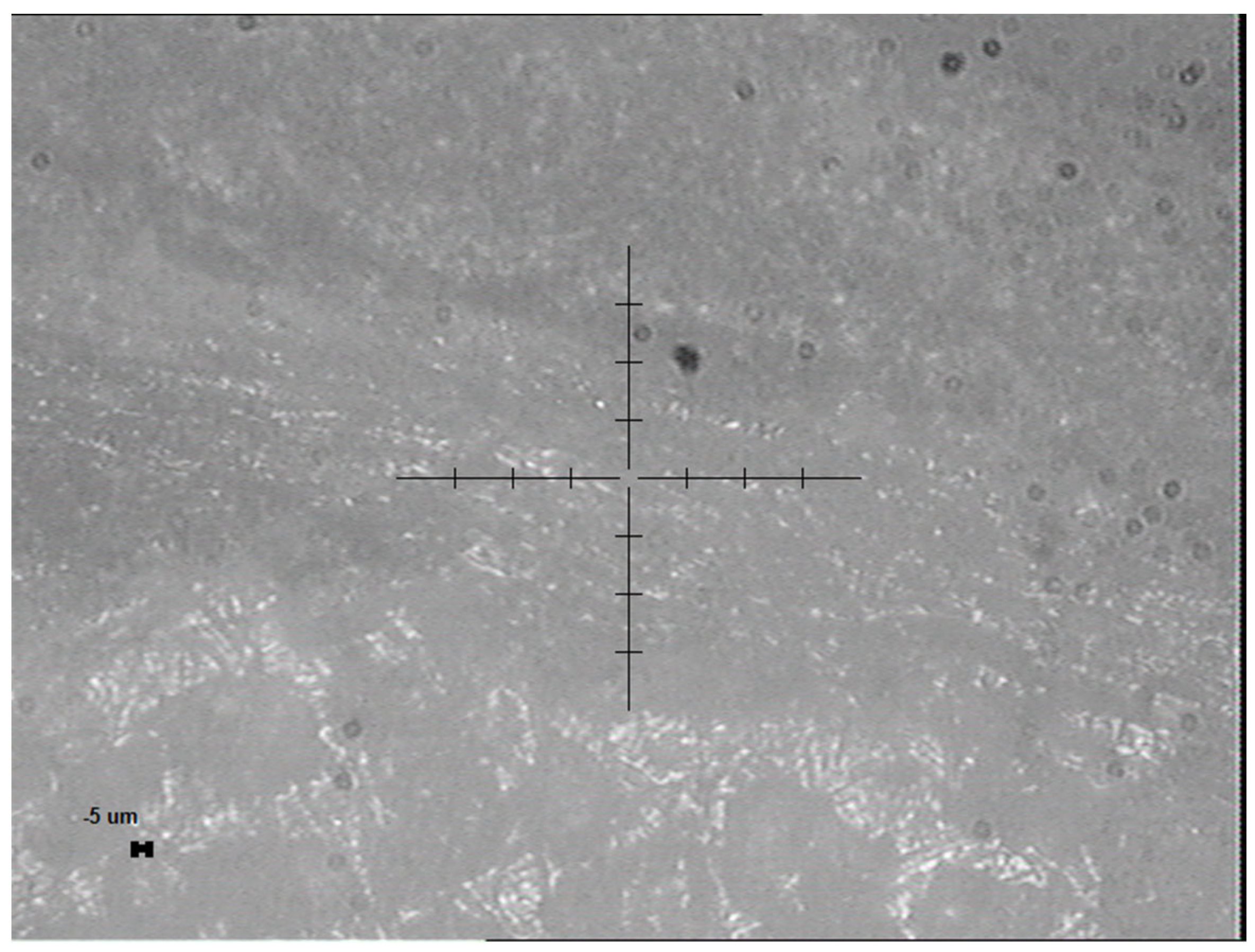 Nanomaterials 15 01582 g002 Nanomaterials 15 01582 g002