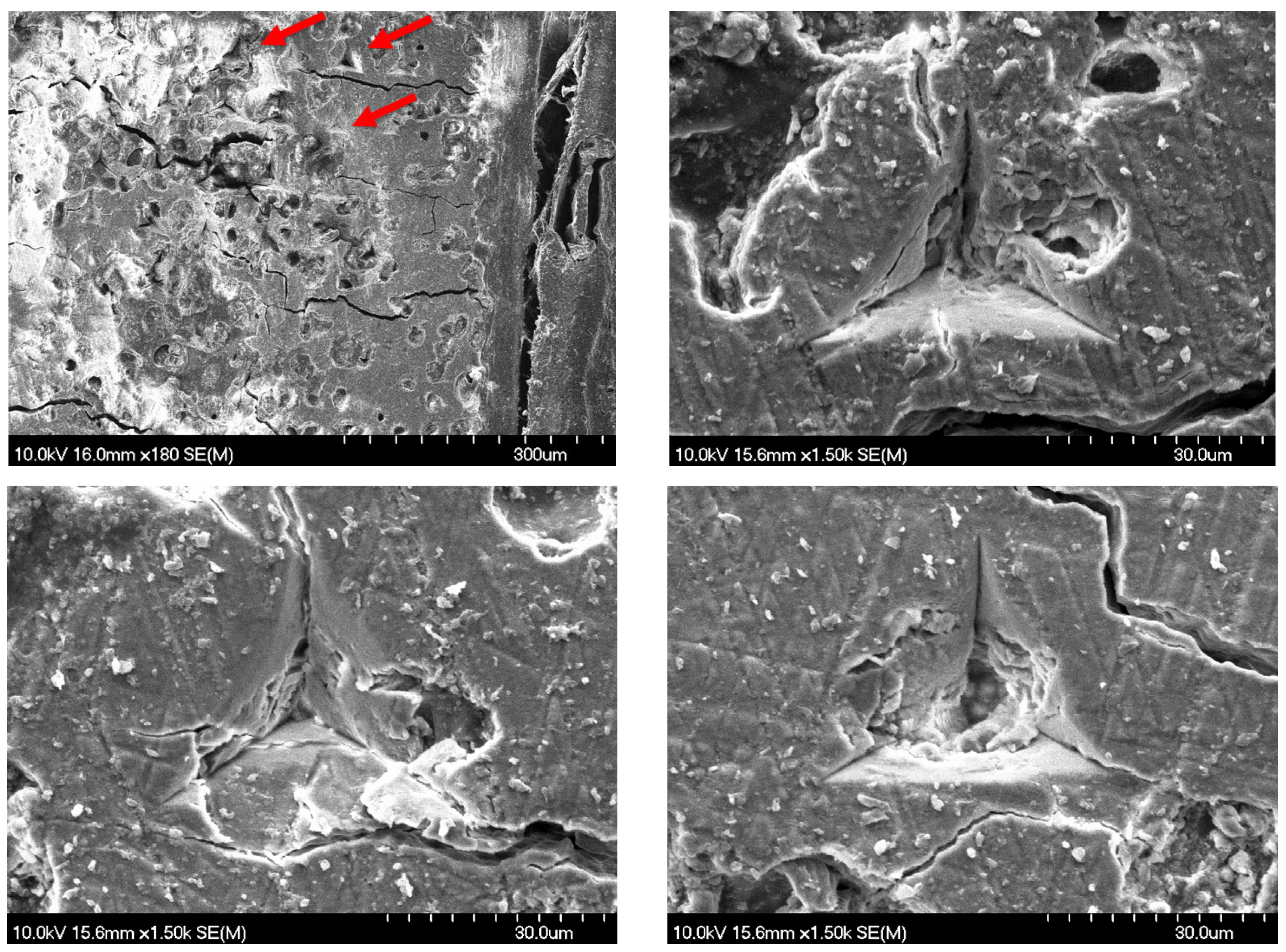 Nanomaterials 15 01582 g004 Nanomaterials 15 01582 g004