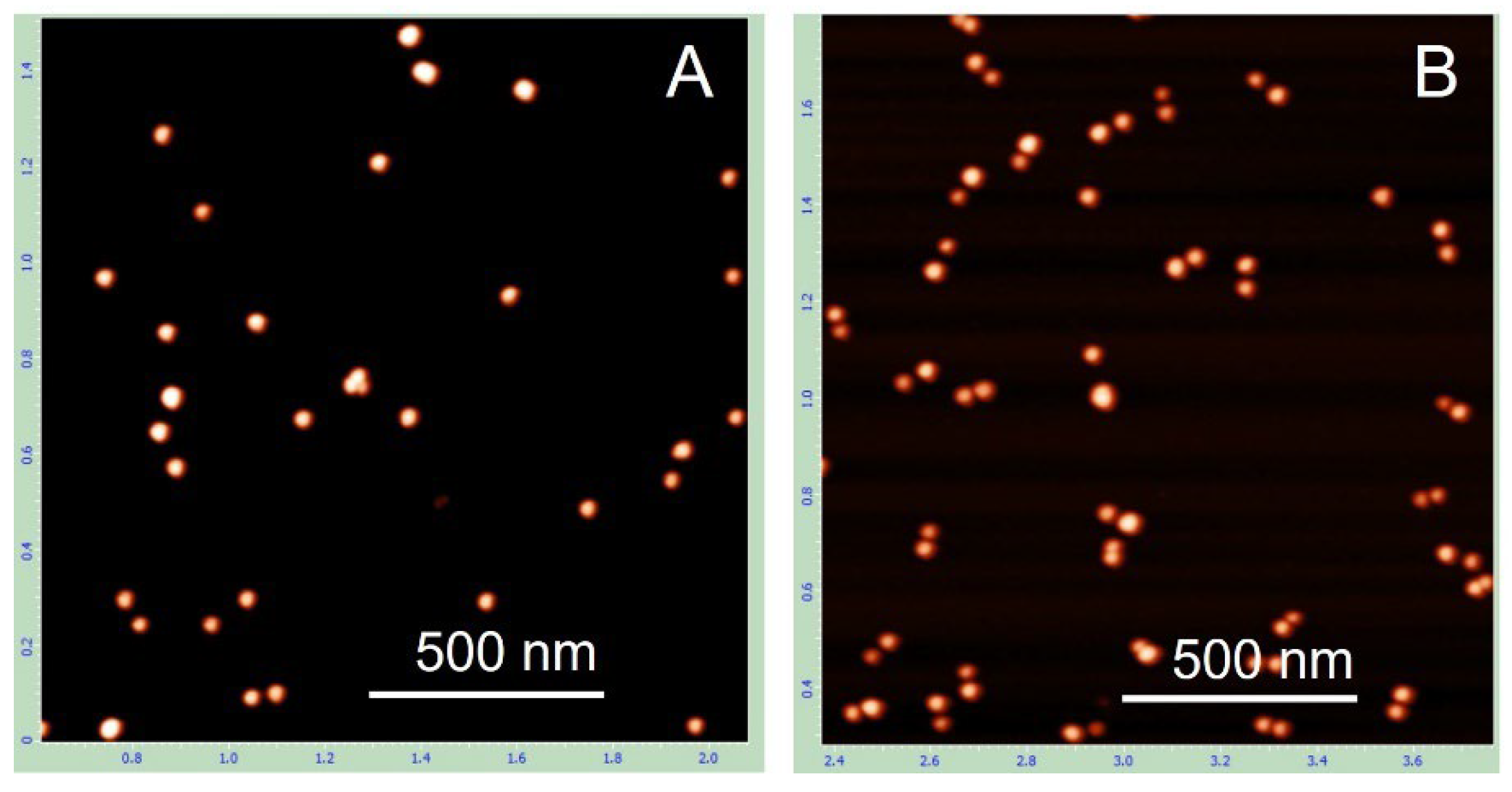 Nanomaterials 15 01583 g002