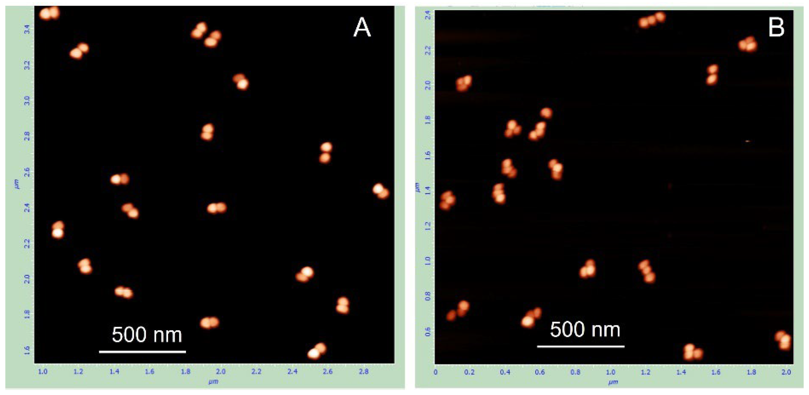 Nanomaterials 15 01583 g003