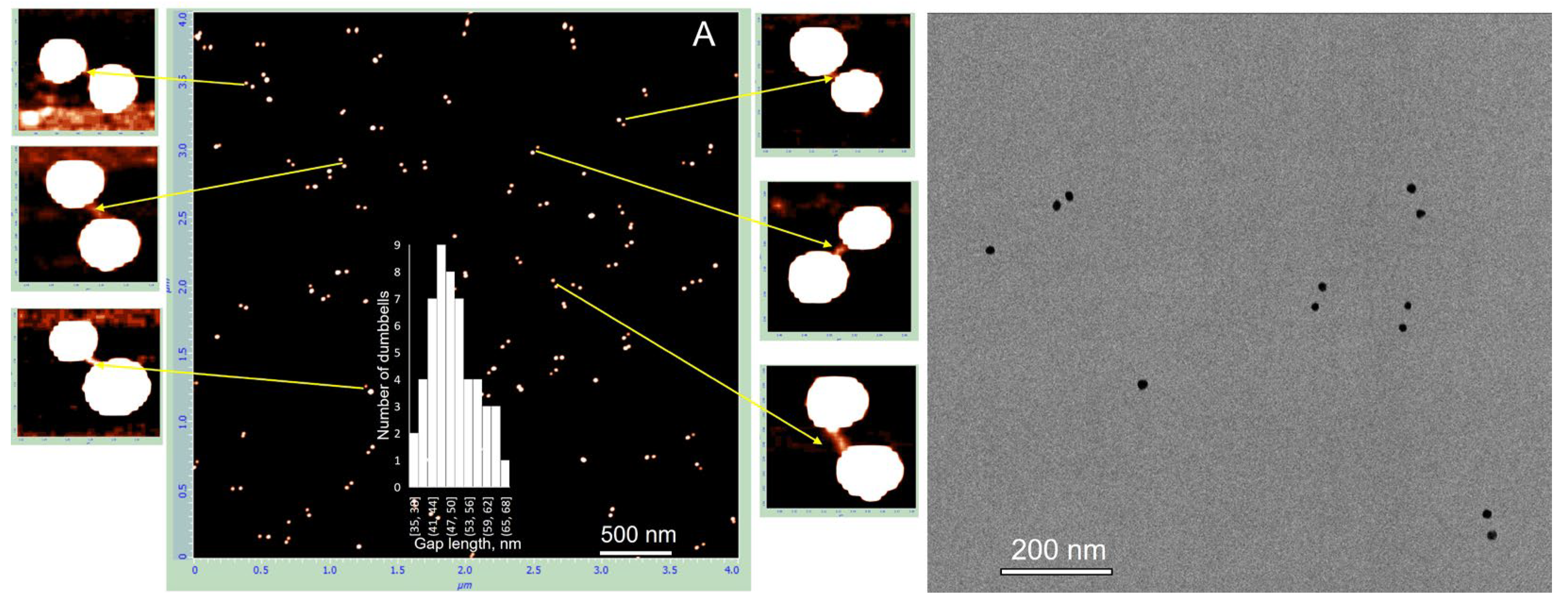 Nanomaterials 15 01583 g004