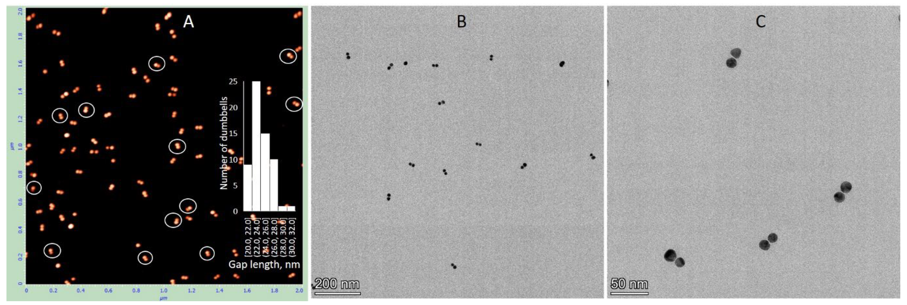 Nanomaterials 15 01583 g005
