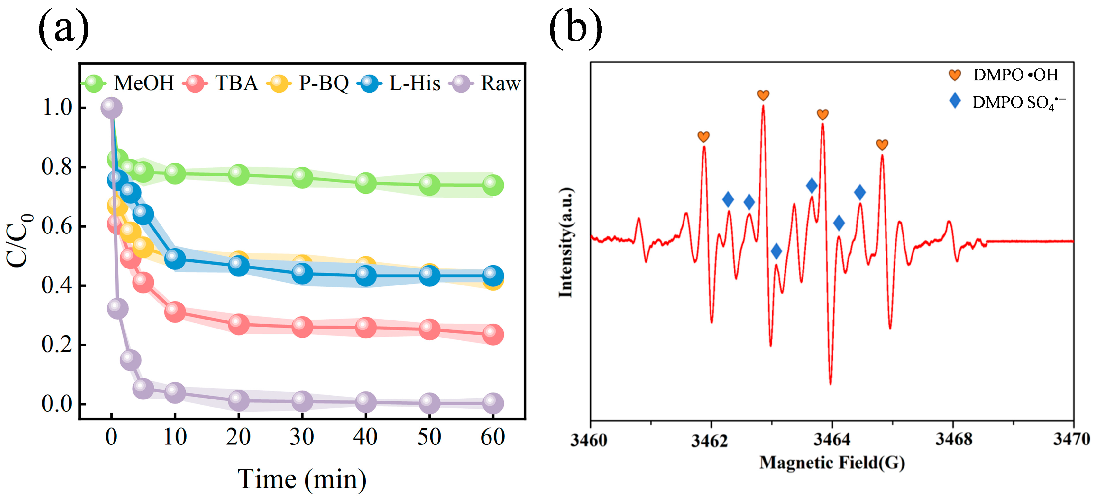 Nanomaterials 15 01585 g004