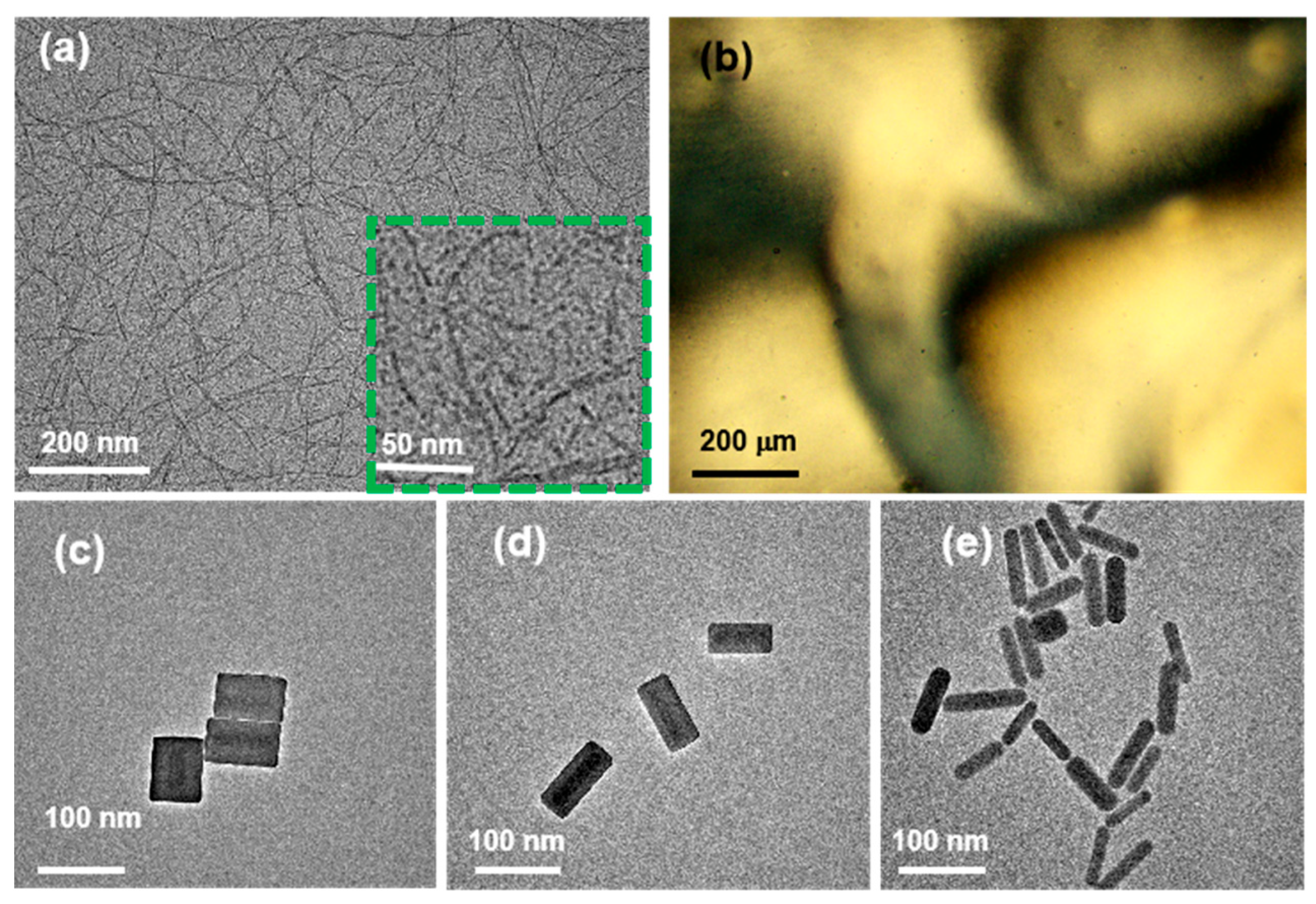 Nanomaterials 15 01594 g001