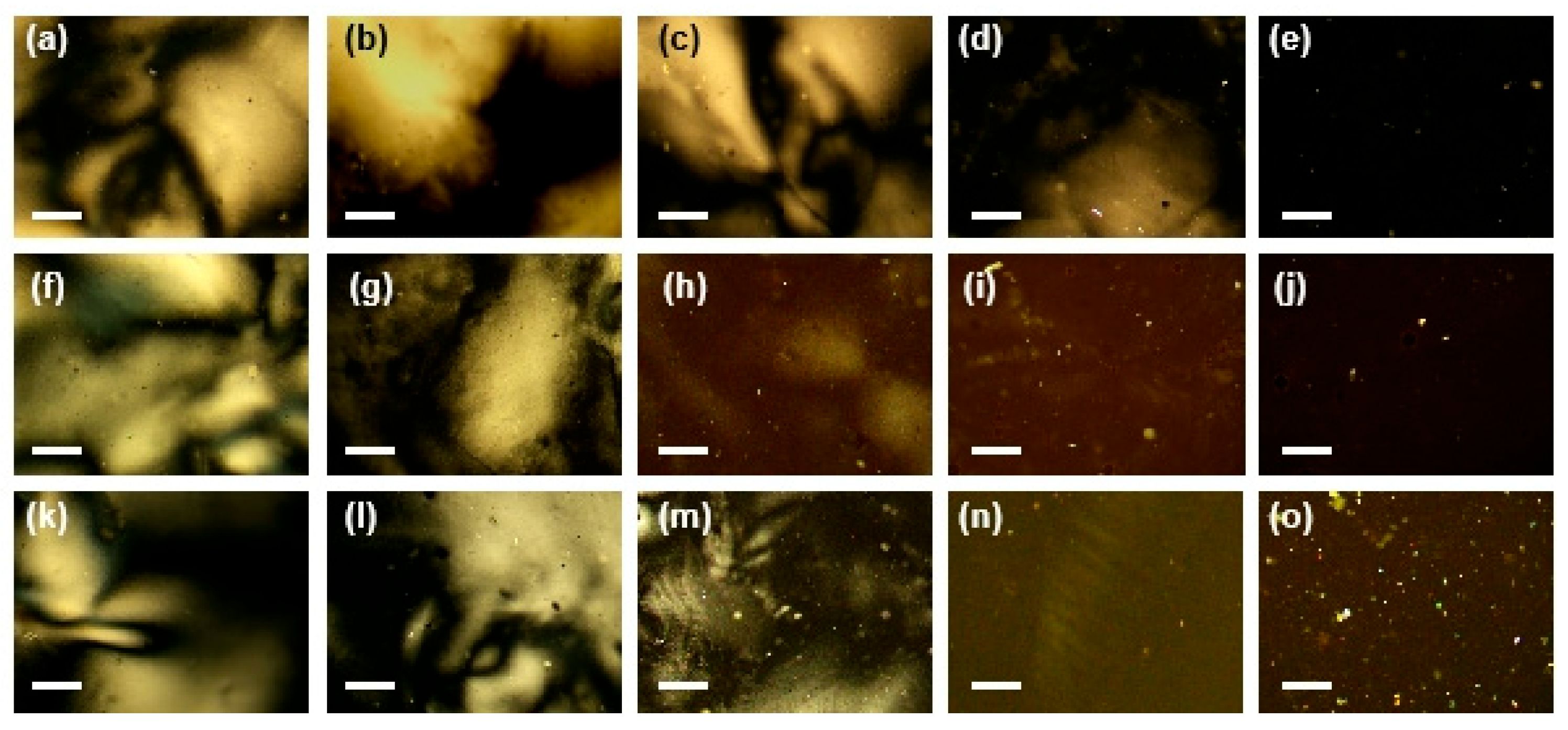 Nanomaterials 15 01594 g004