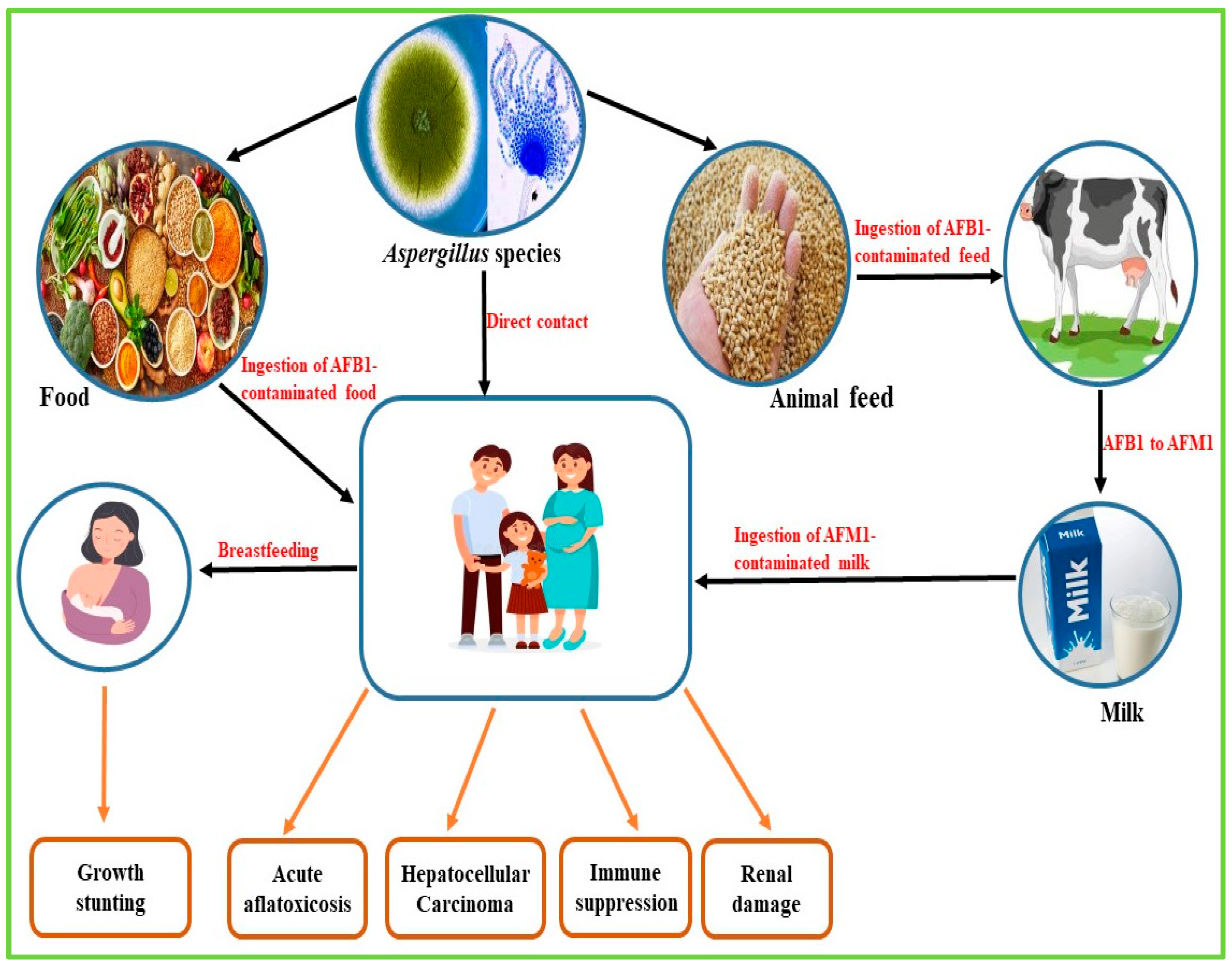 Nanomaterials 15 01604 g002