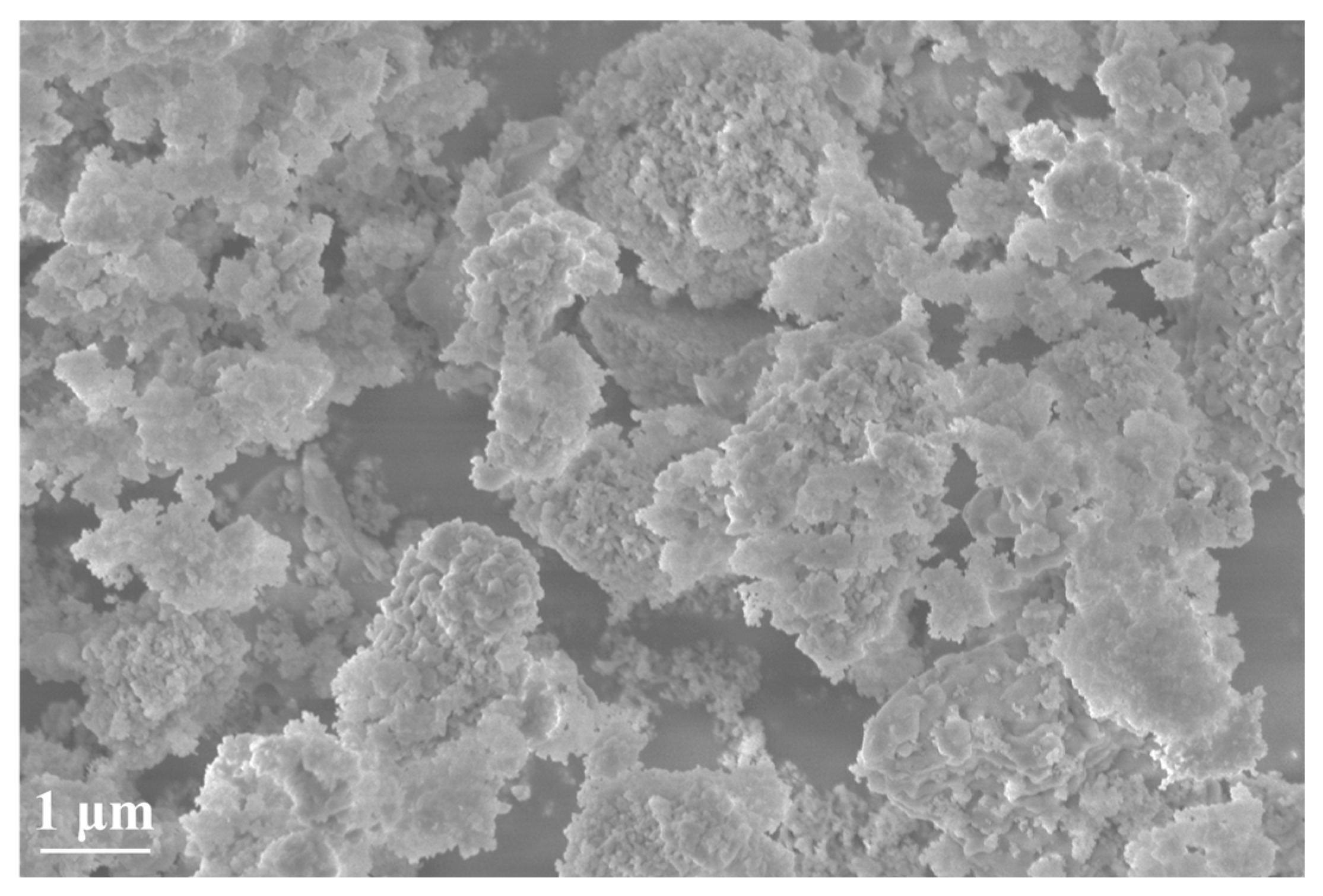 Nanomaterials 15 01607 g001