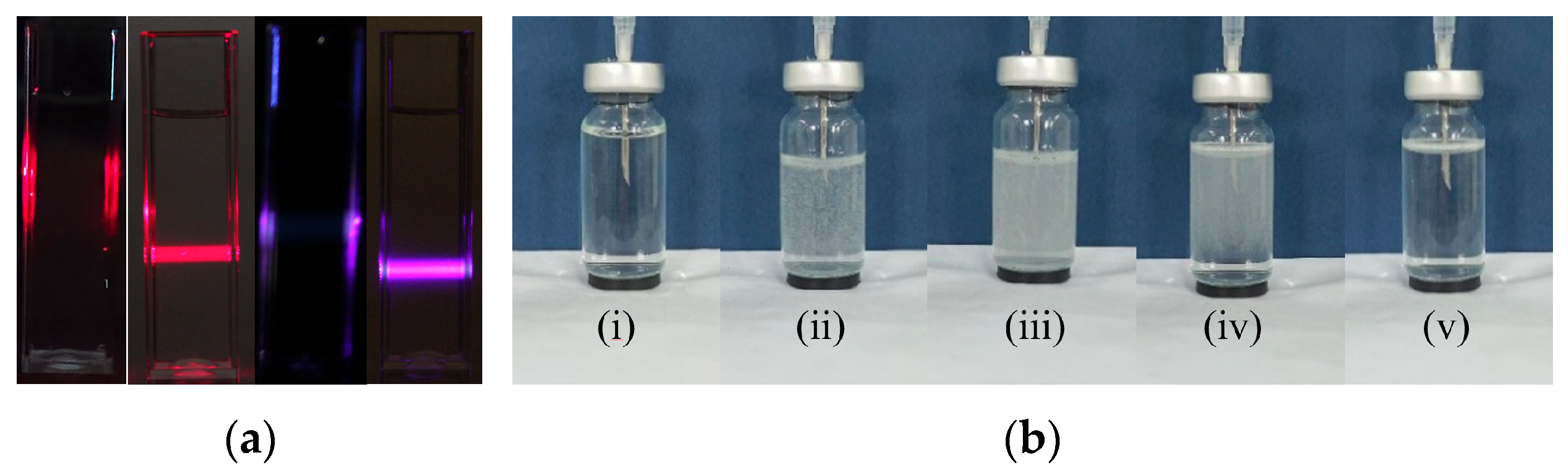 Nanomaterials 15 01613 g002