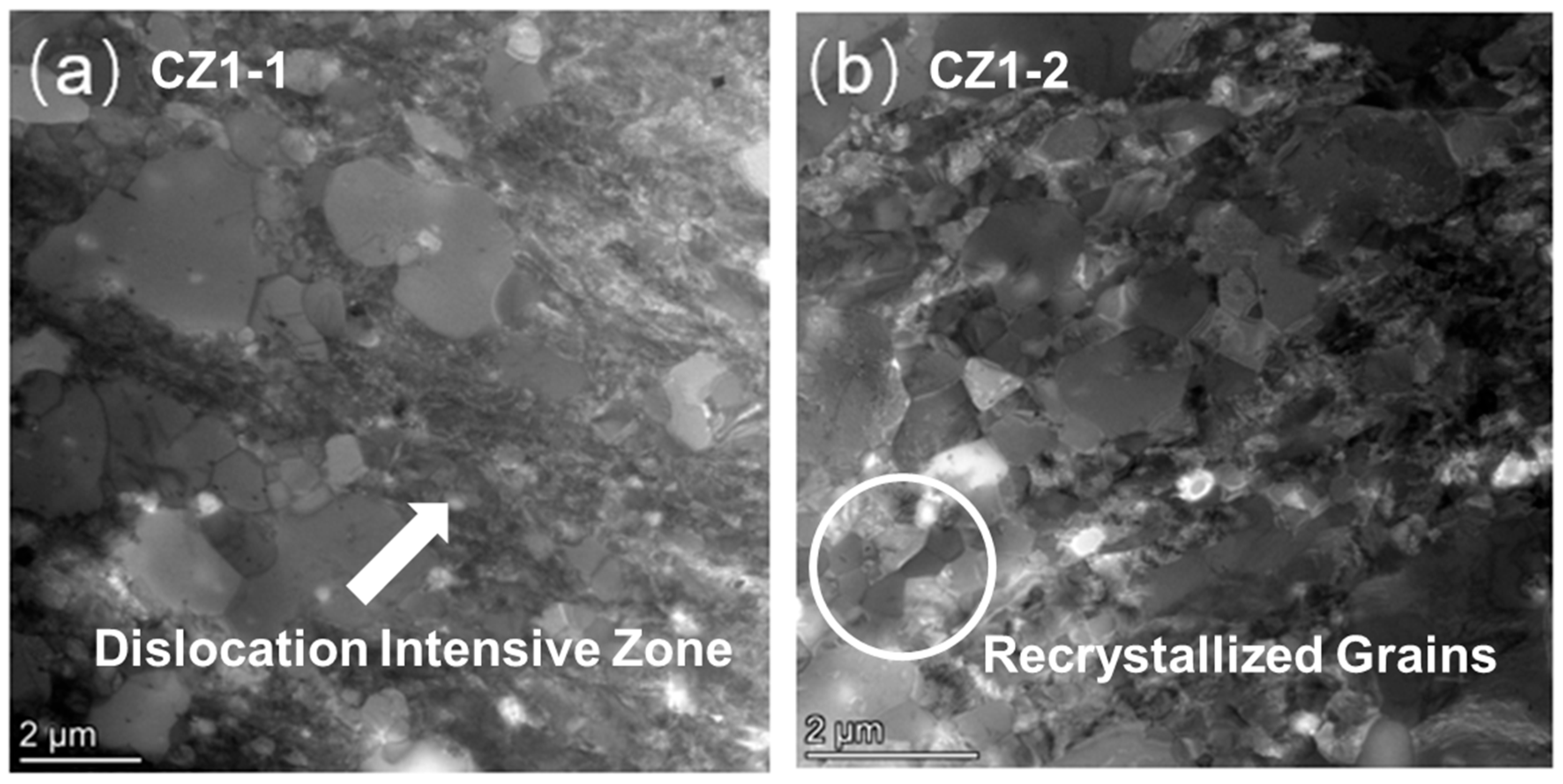 Nanomaterials 15 01624 g001