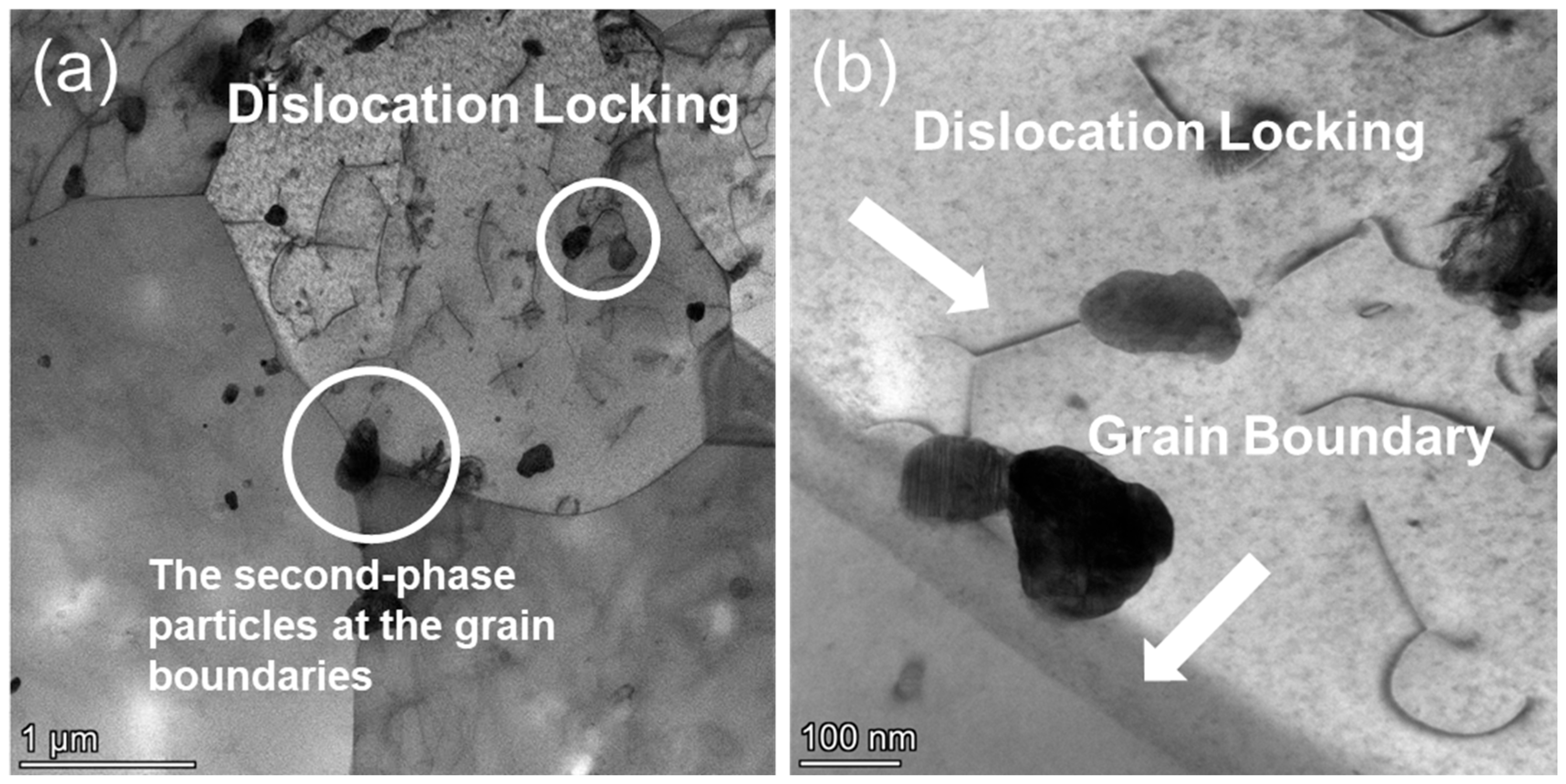Nanomaterials 15 01624 g009