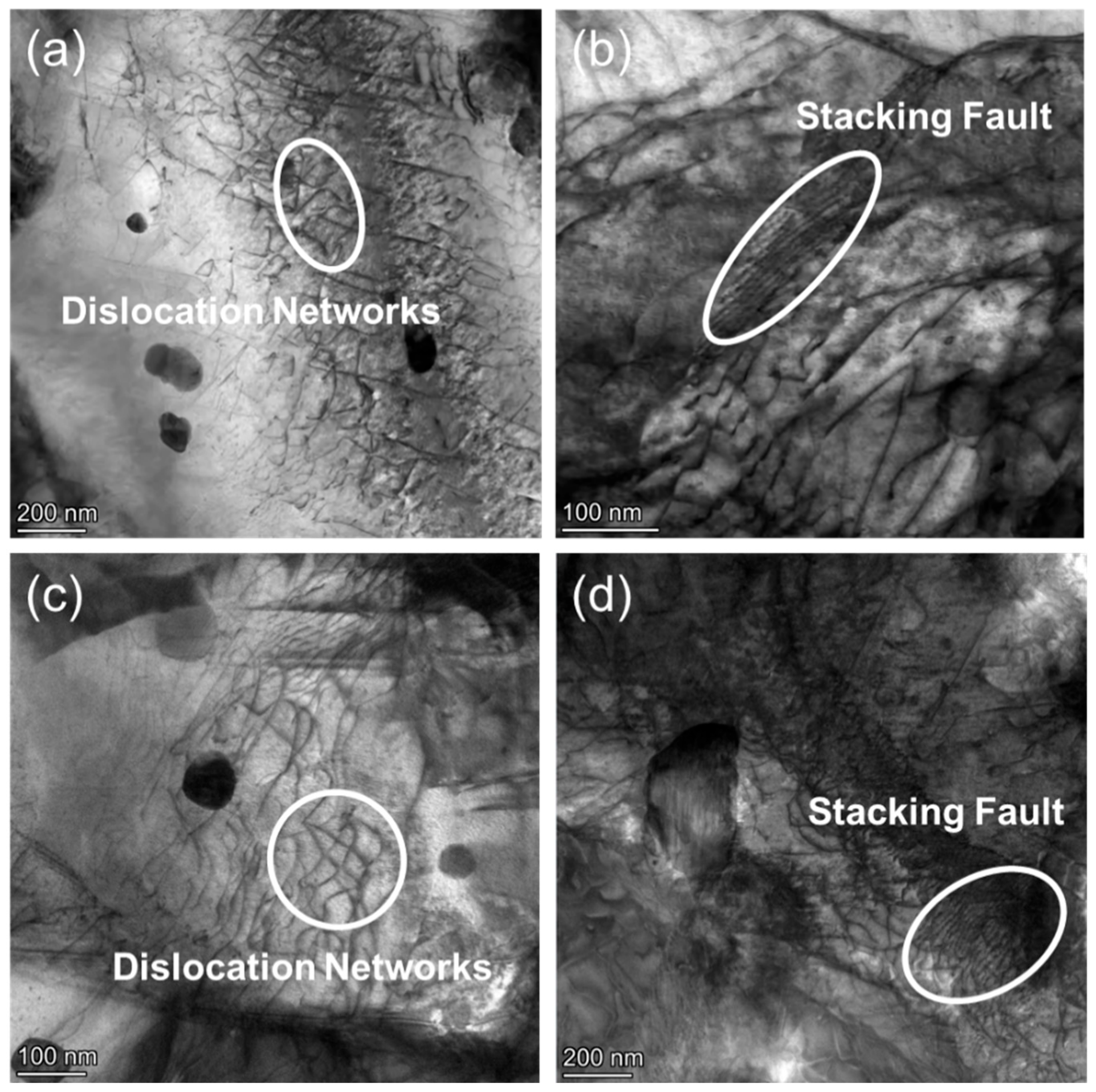 Nanomaterials 15 01624 g010