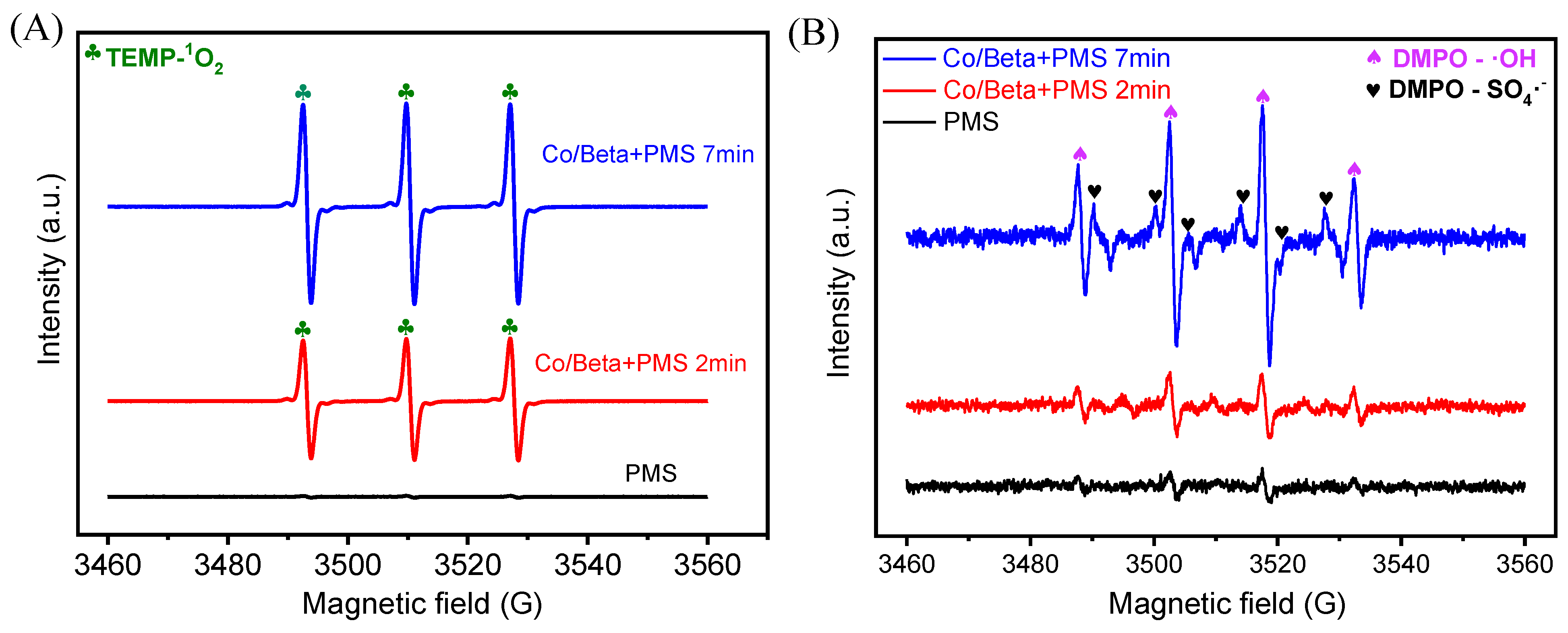 Nanomaterials 15 01630 g007 Nanomaterials 15 01630 g007