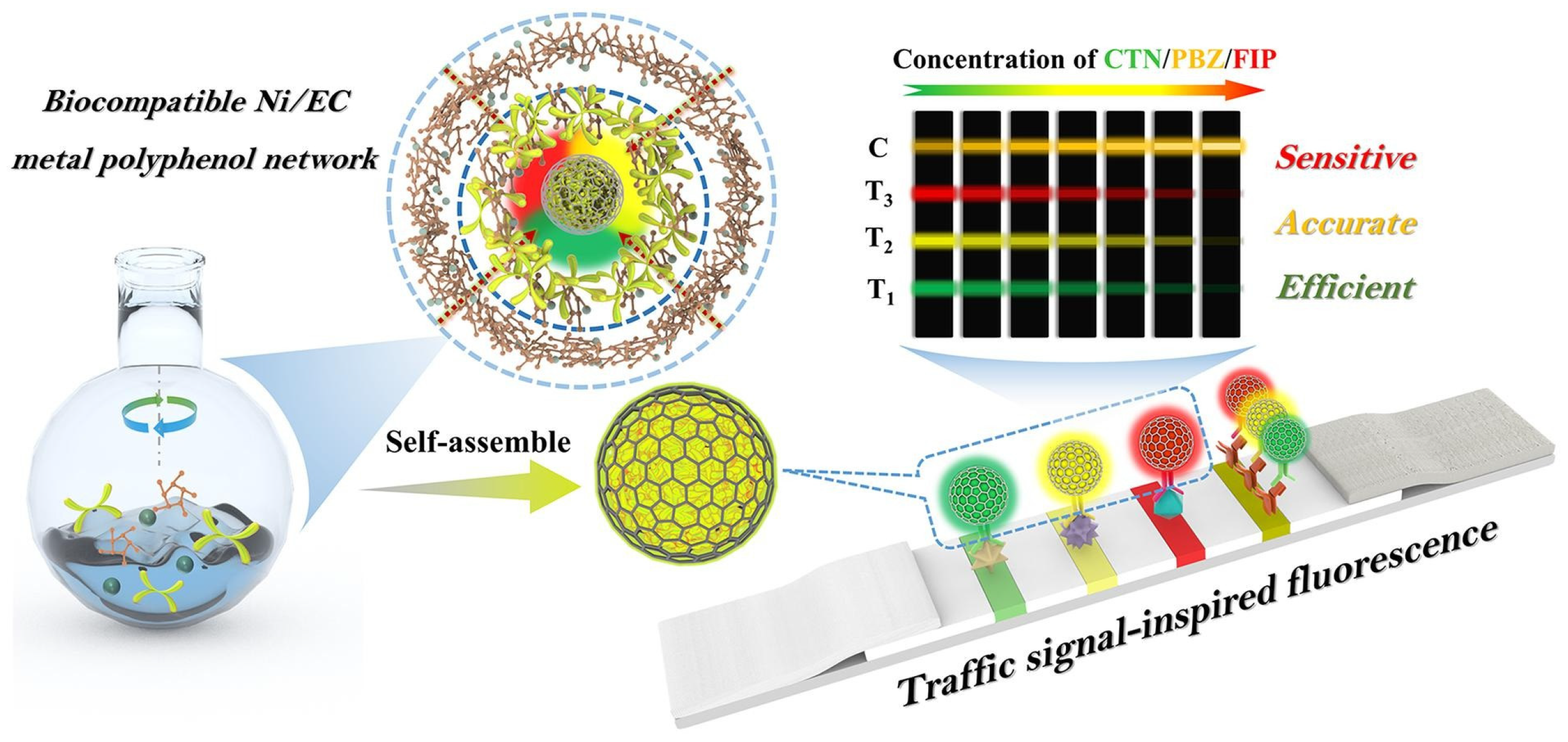 Nanomaterials 15 01634 g004 Nanomaterials 15 01634 g004