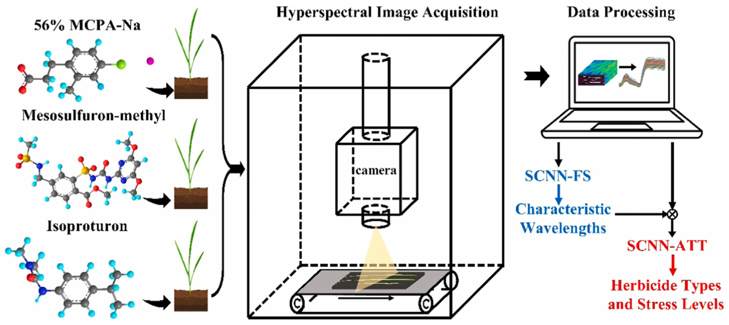 Nanomaterials 15 01634 g005 Nanomaterials 15 01634 g005