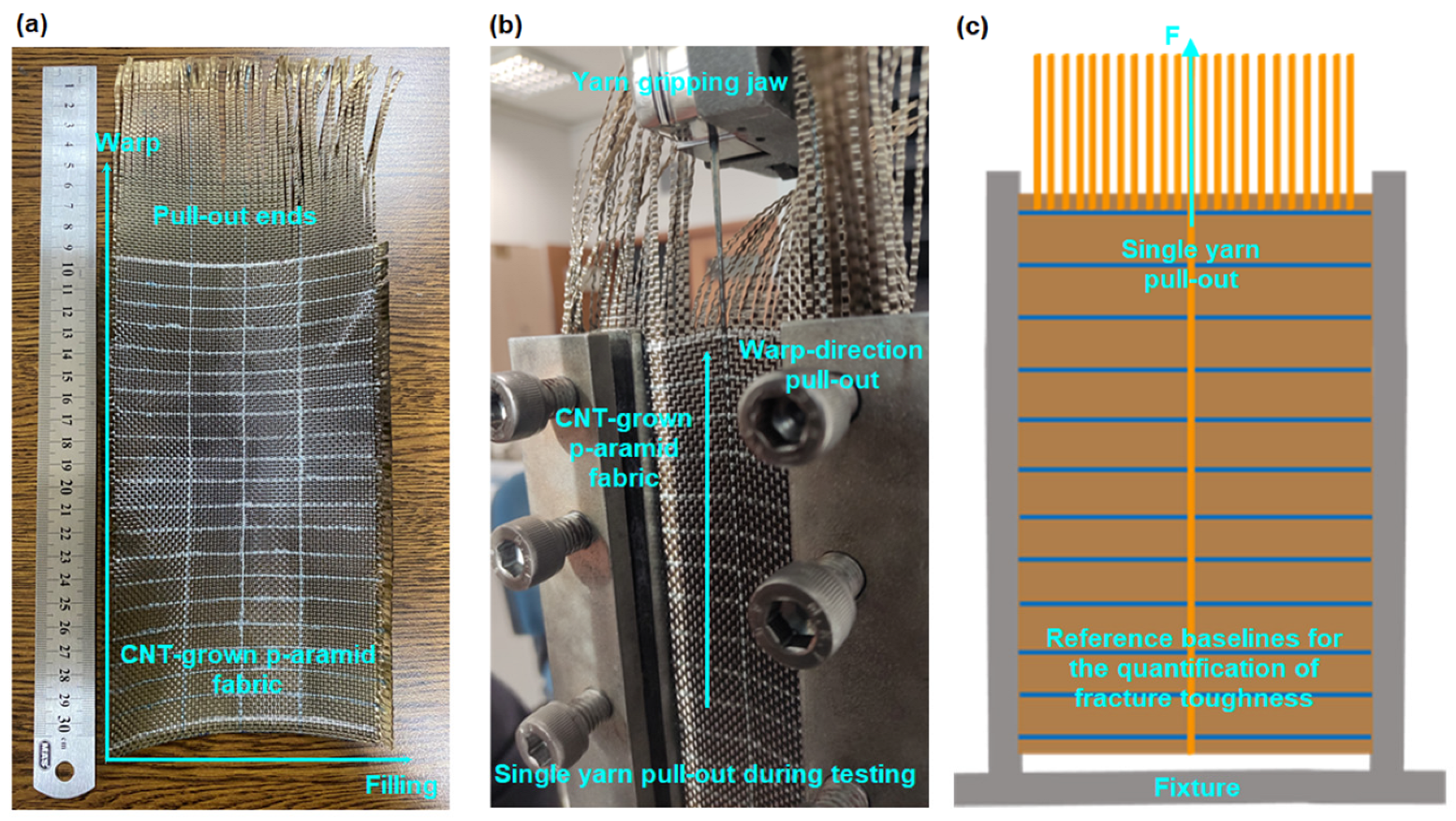 Nanomaterials 15 01637 g004 Nanomaterials 15 01637 g004