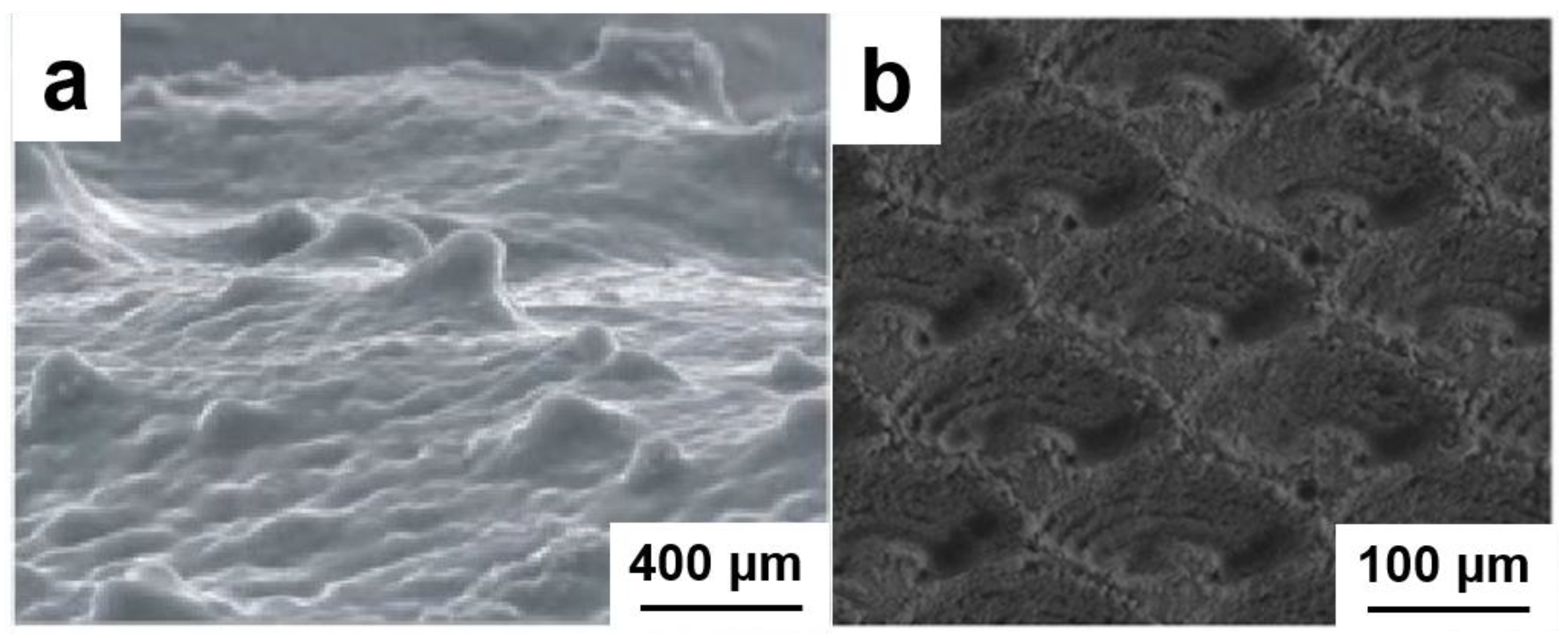 Nanomaterials 15 01647 g003 Nanomaterials 15 01647 g003