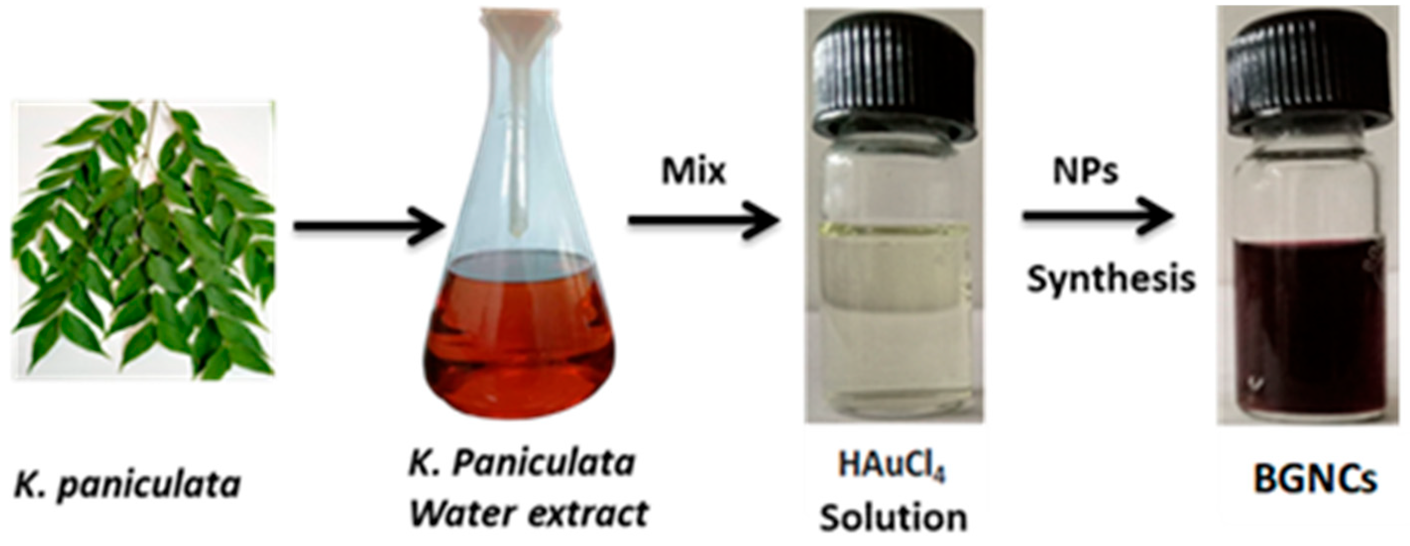 Nanomaterials 15 01648 g001