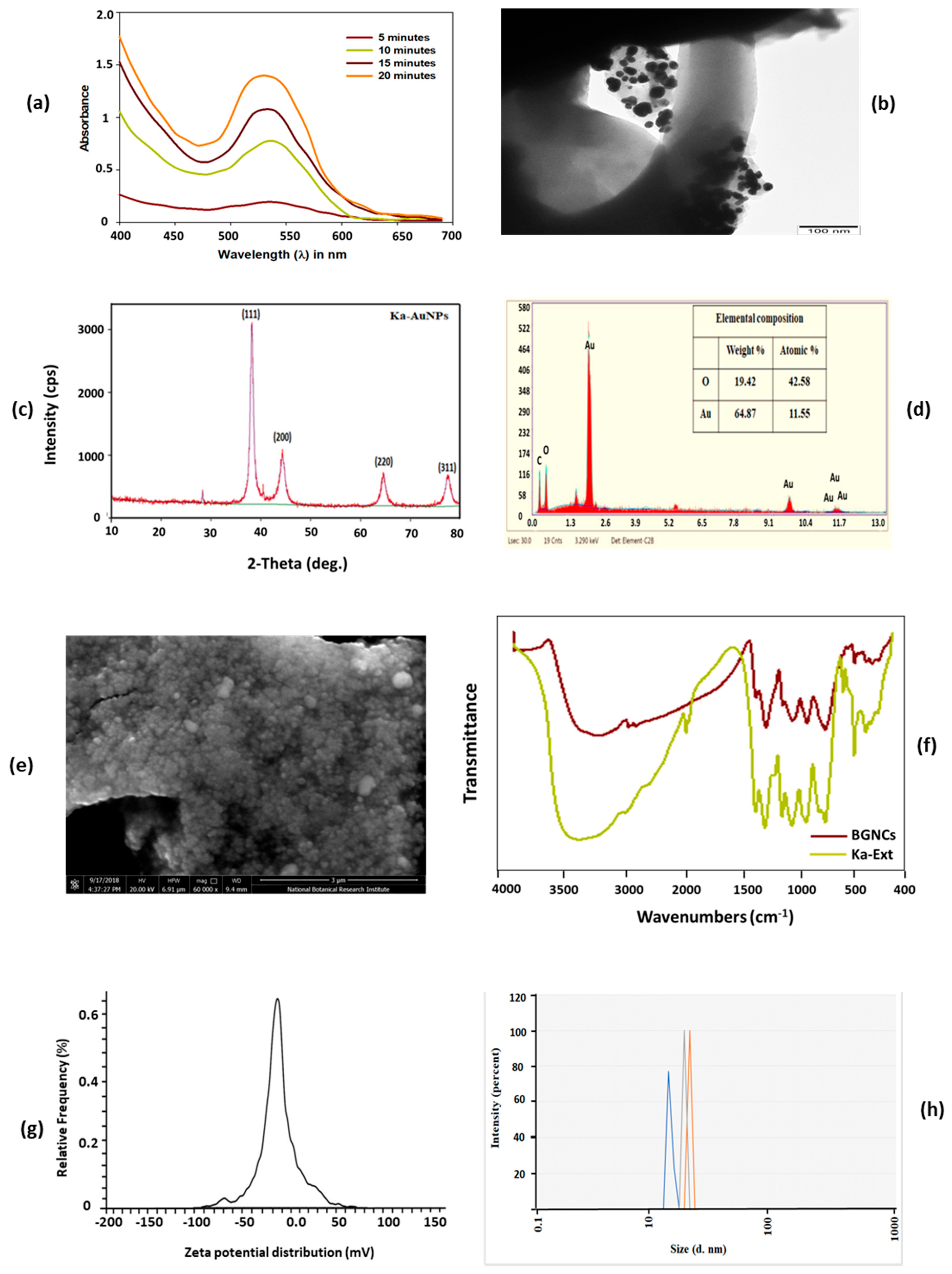 Nanomaterials 15 01648 g002