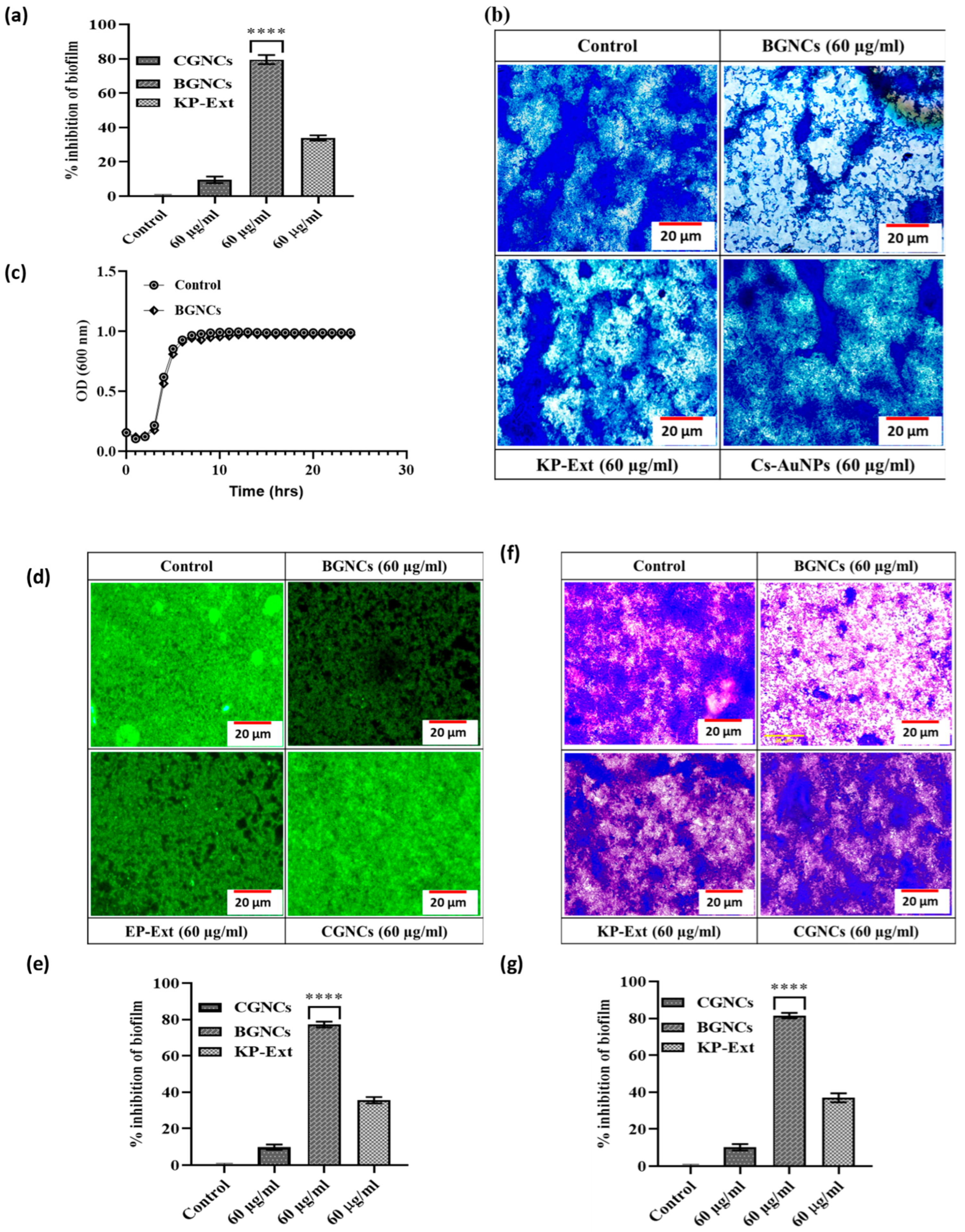 Nanomaterials 15 01648 g004