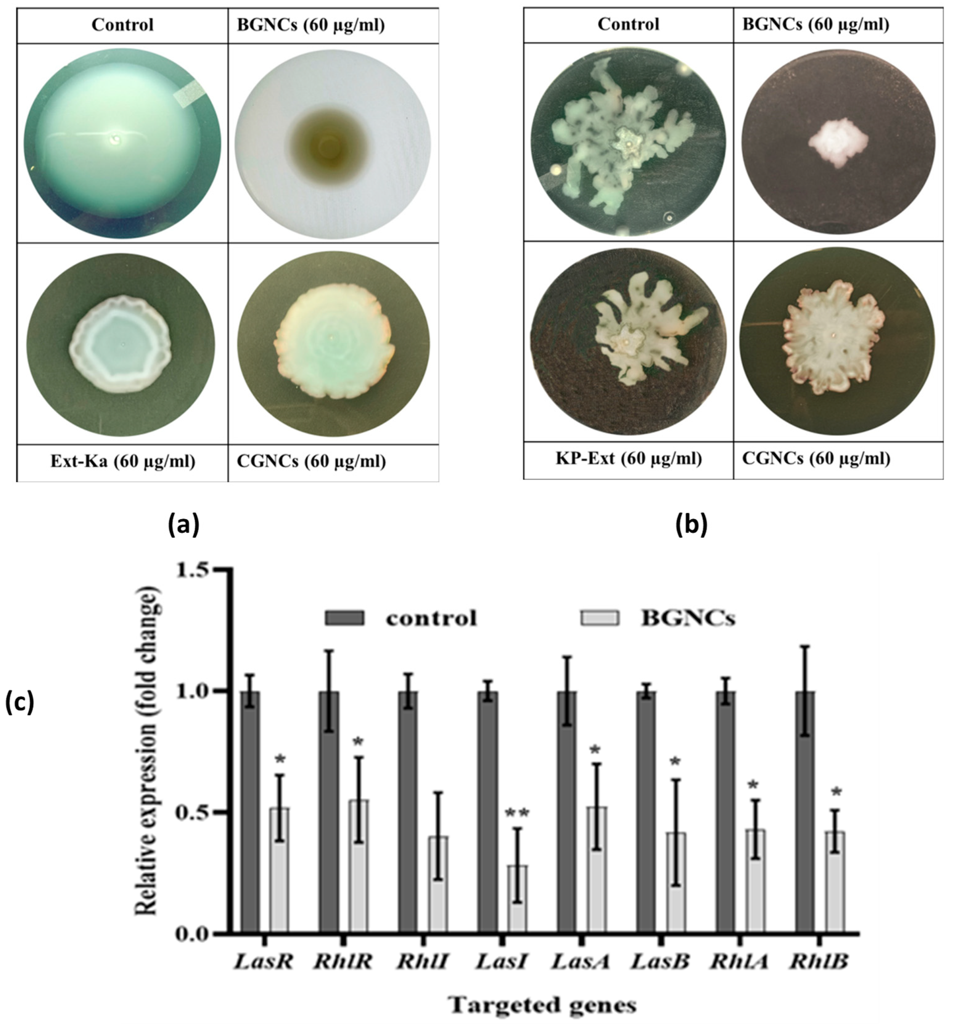 Nanomaterials 15 01648 g007