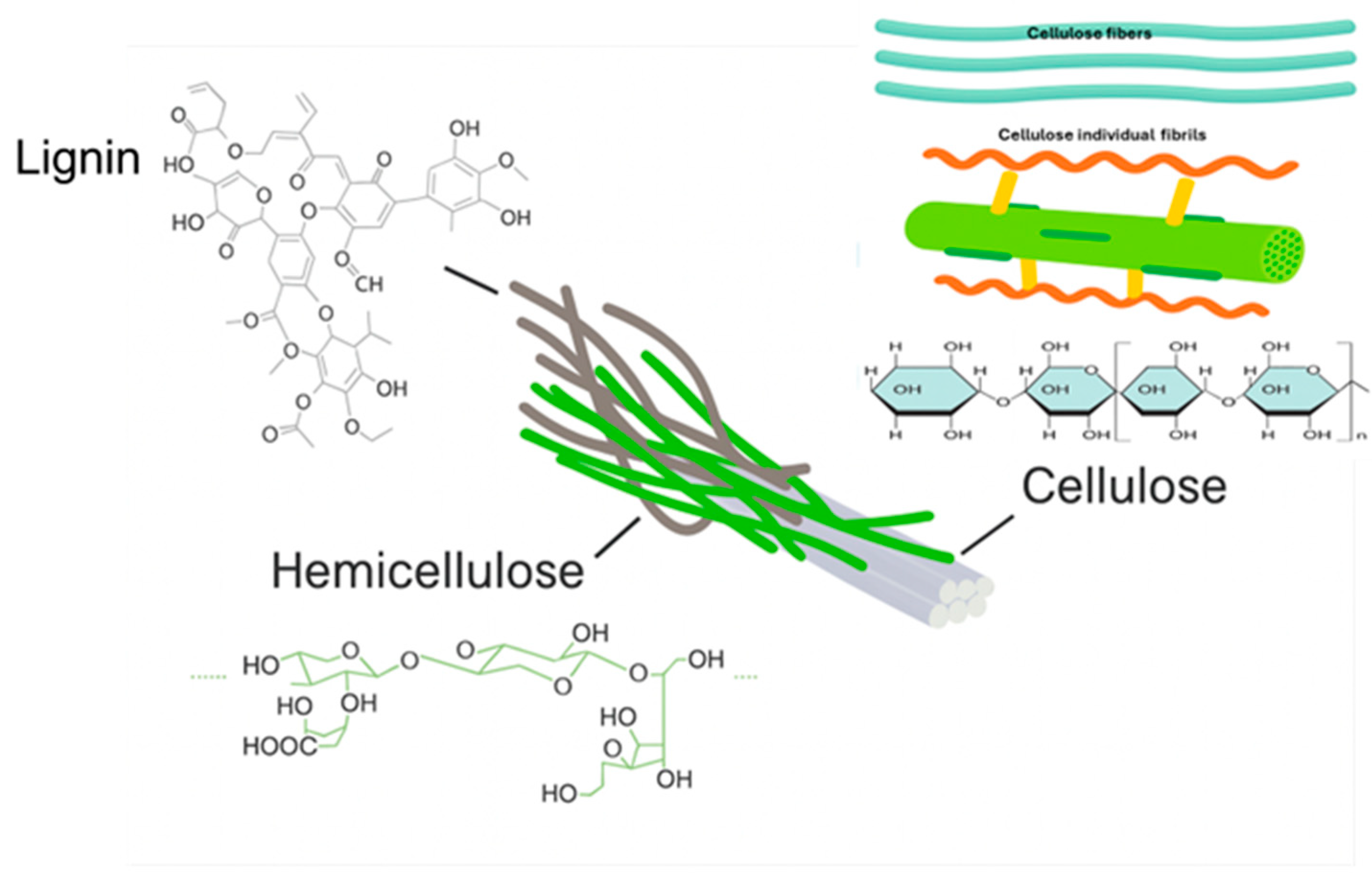 Nanomaterials 15 01649 g002 Nanomaterials 15 01649 g002