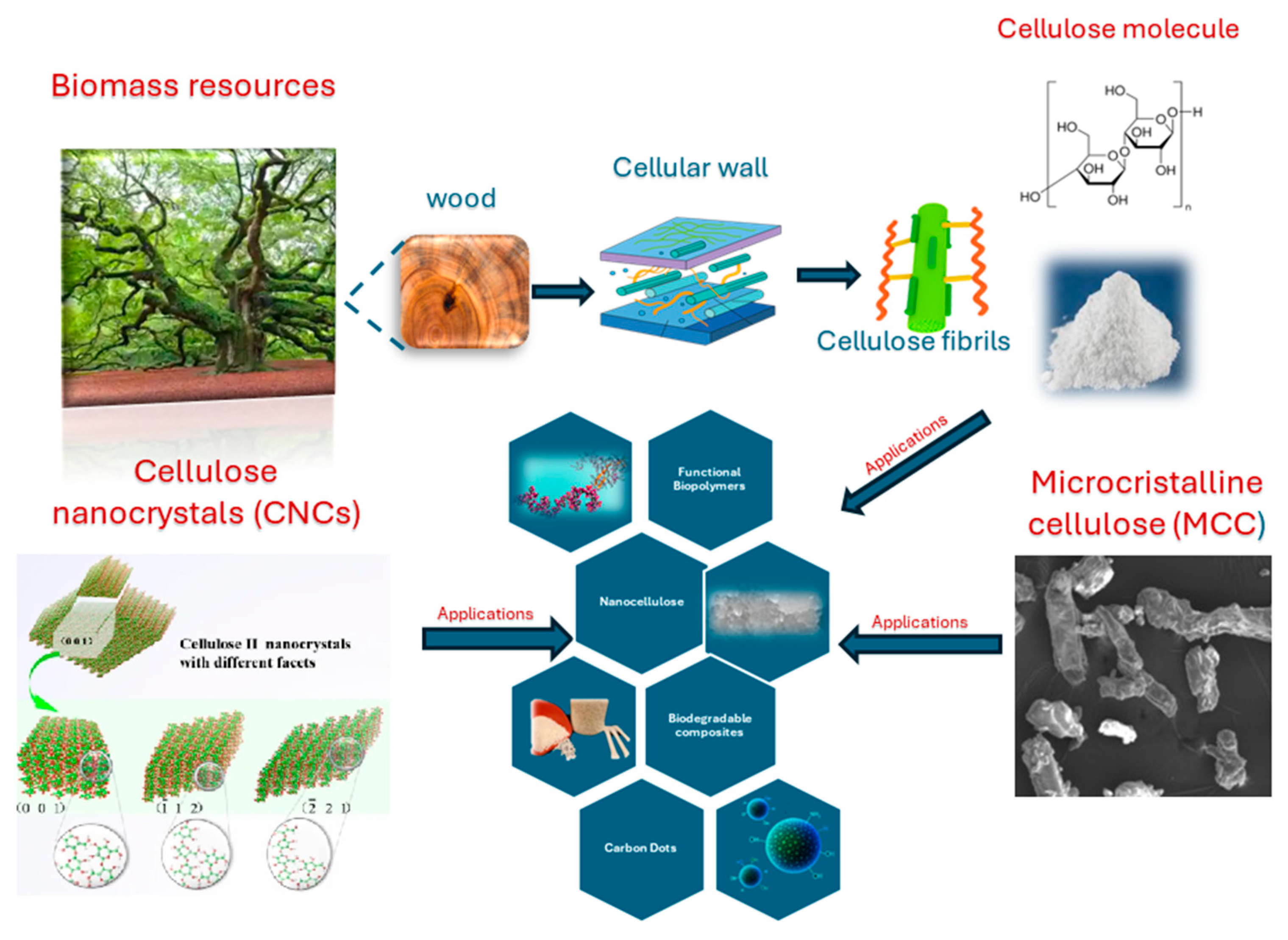 Nanomaterials 15 01649 g003 Nanomaterials 15 01649 g003