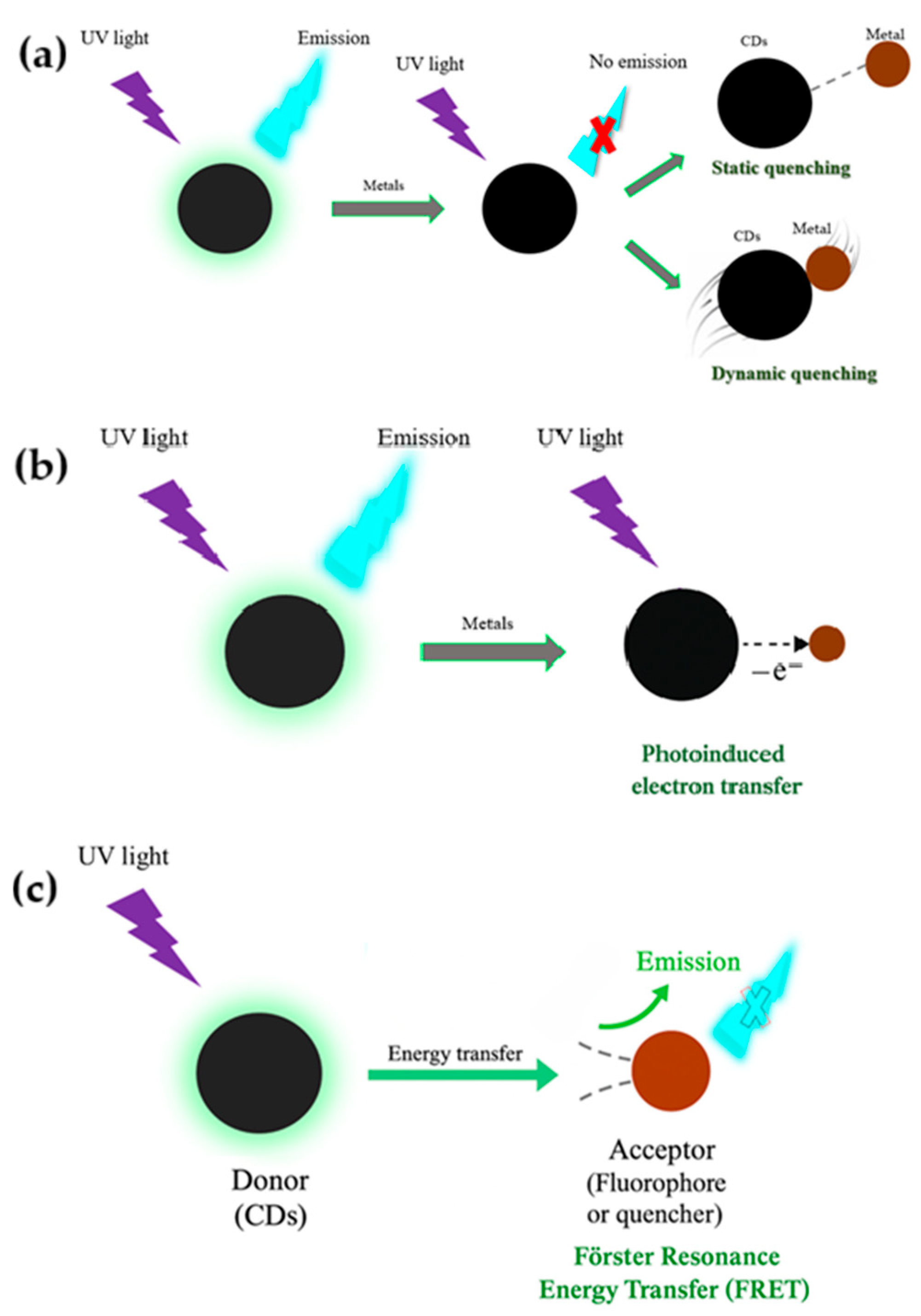 Nanomaterials 15 01649 g005 Nanomaterials 15 01649 g005
