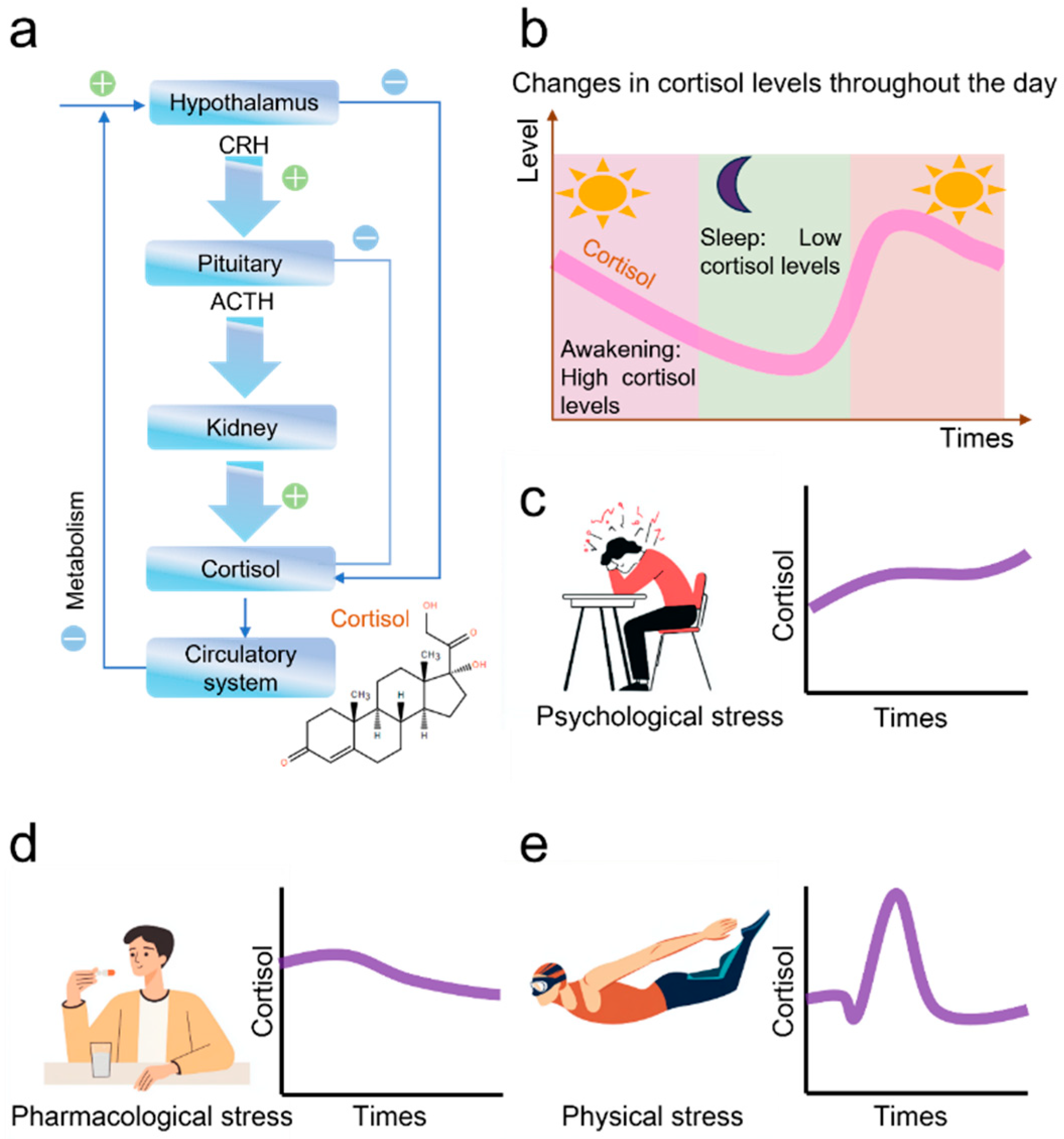 Nanomaterials 15 01654 g001