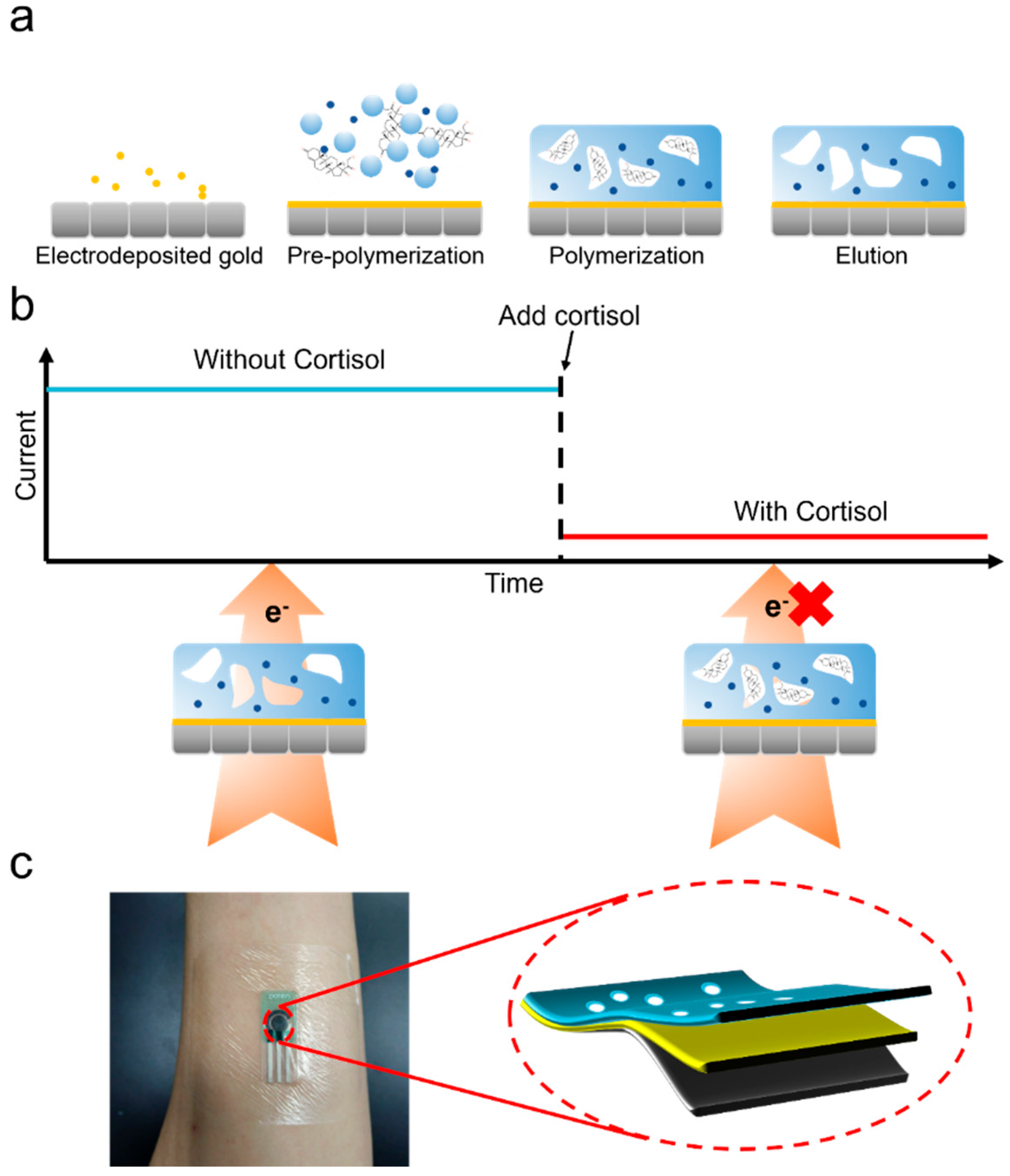 Nanomaterials 15 01654 g002