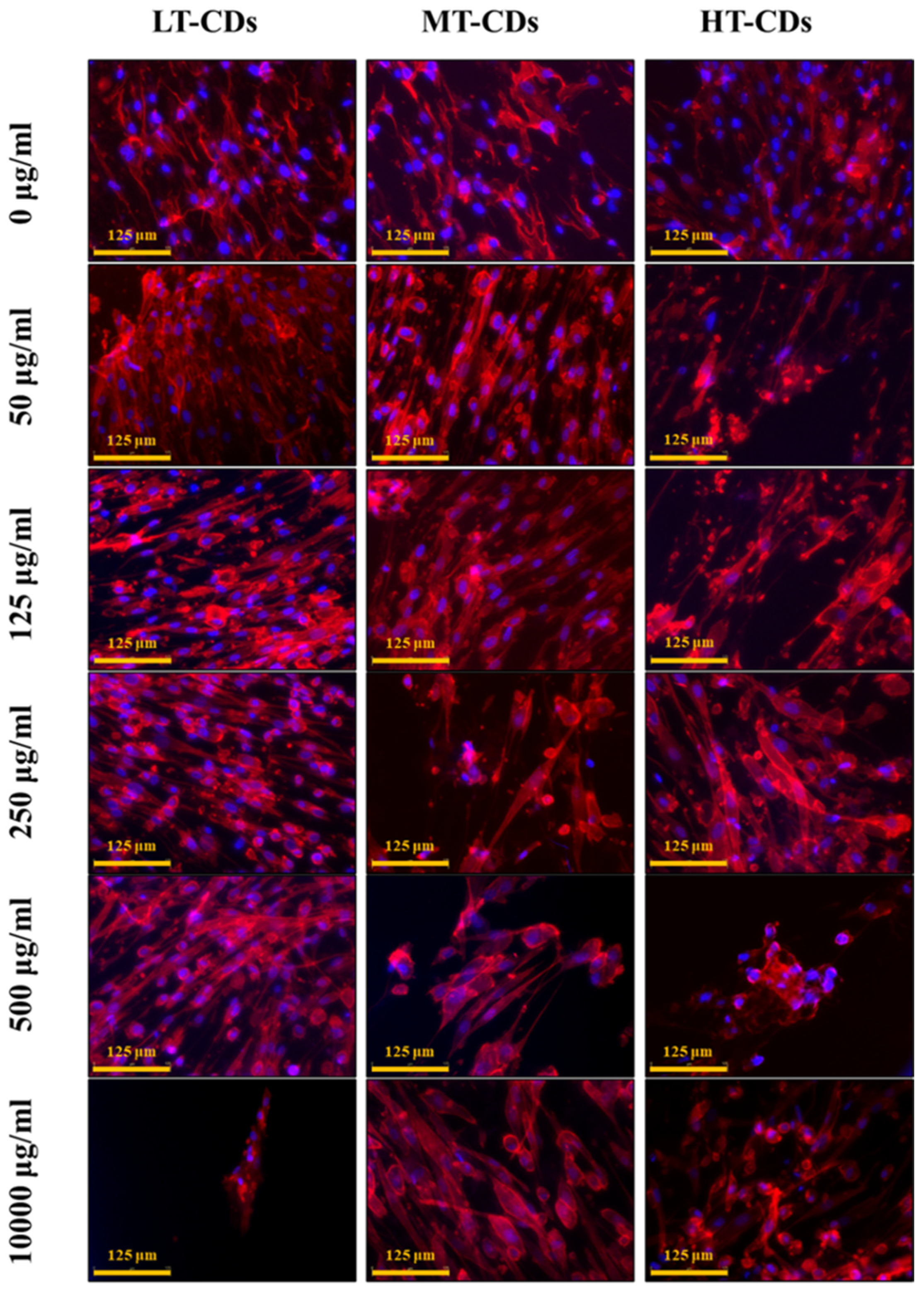 Nanomaterials 15 01657 g008