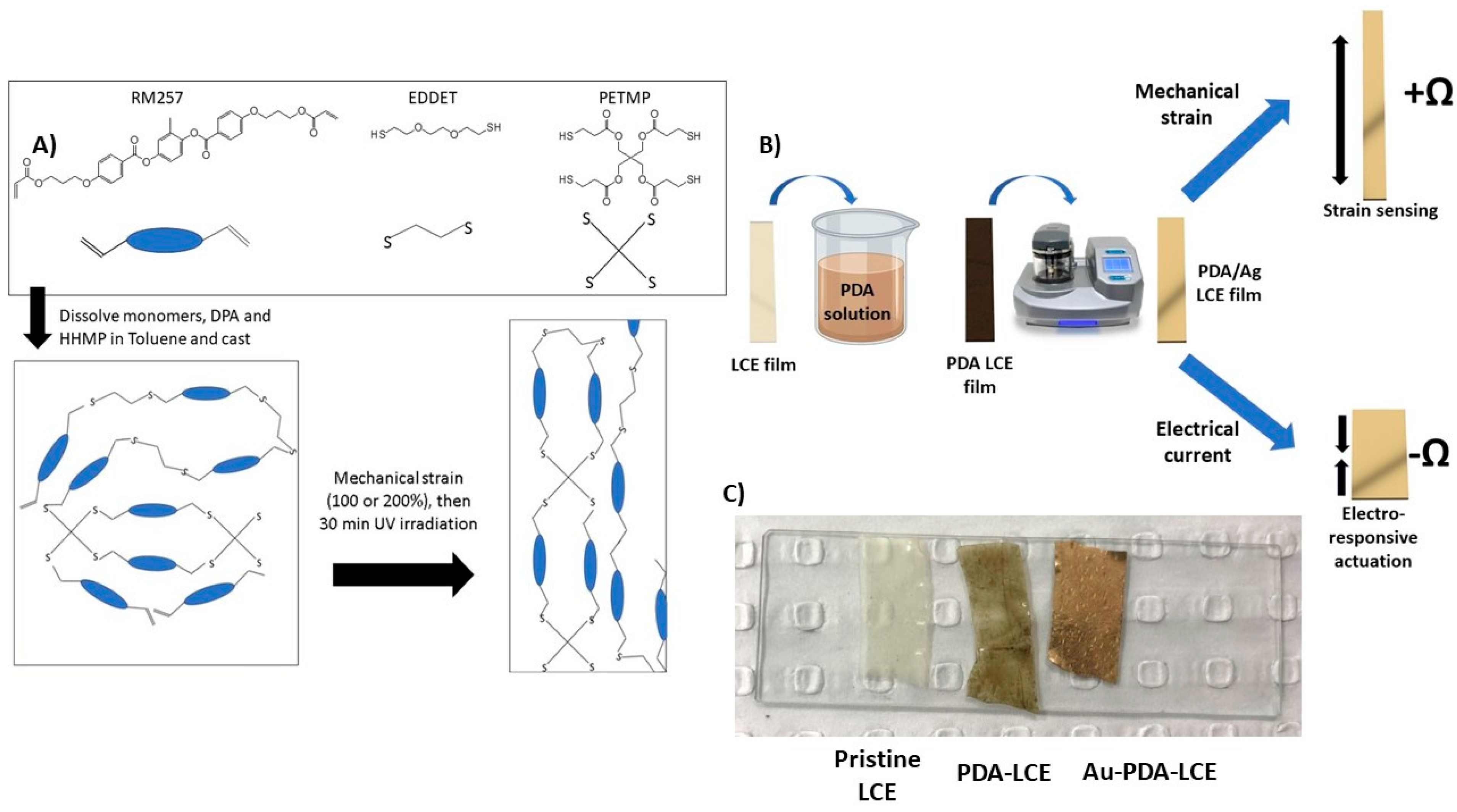 Nanomaterials 15 01658 g001