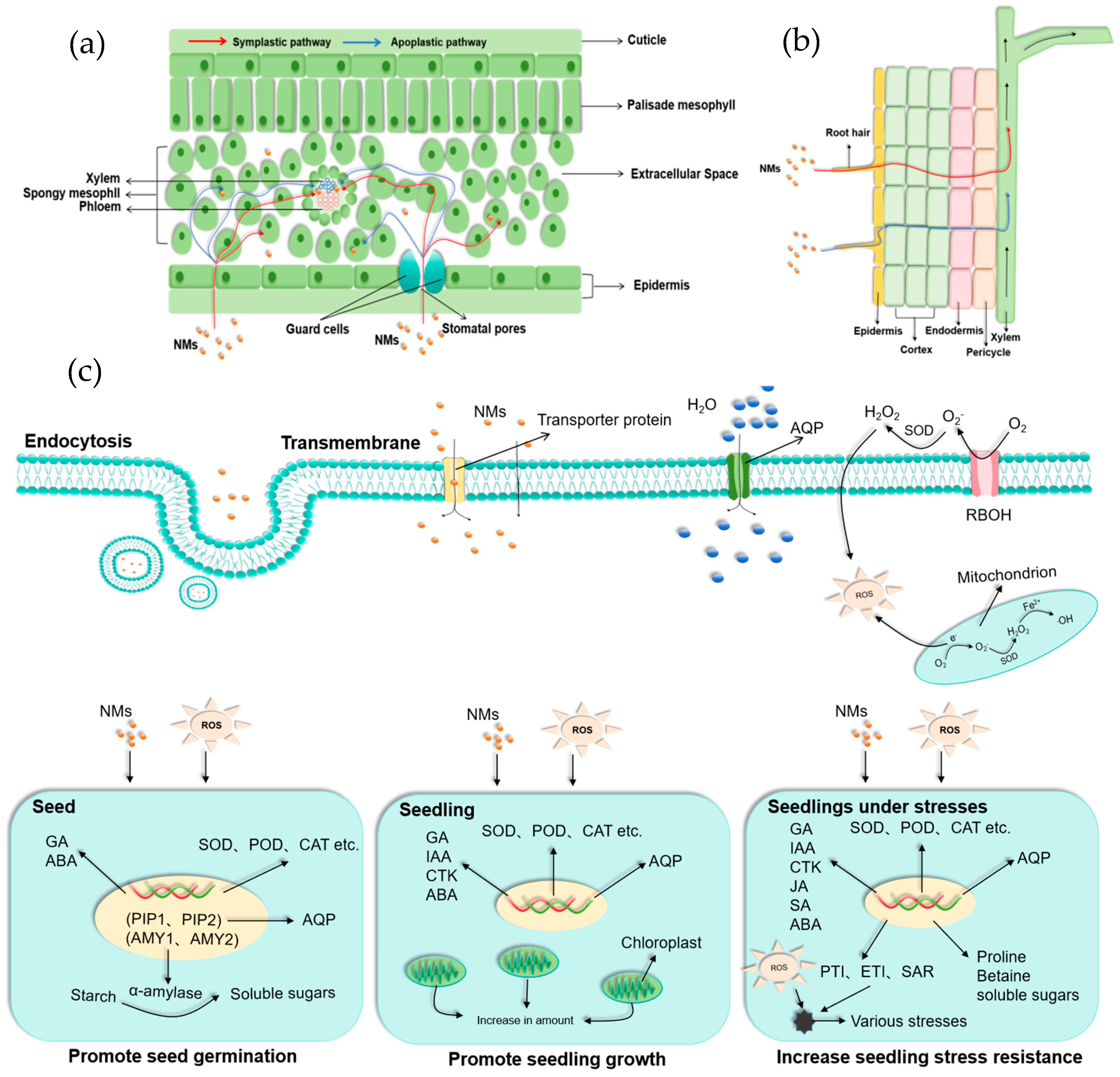 Nanomaterials 15 01659 g002 Nanomaterials 15 01659 g002
