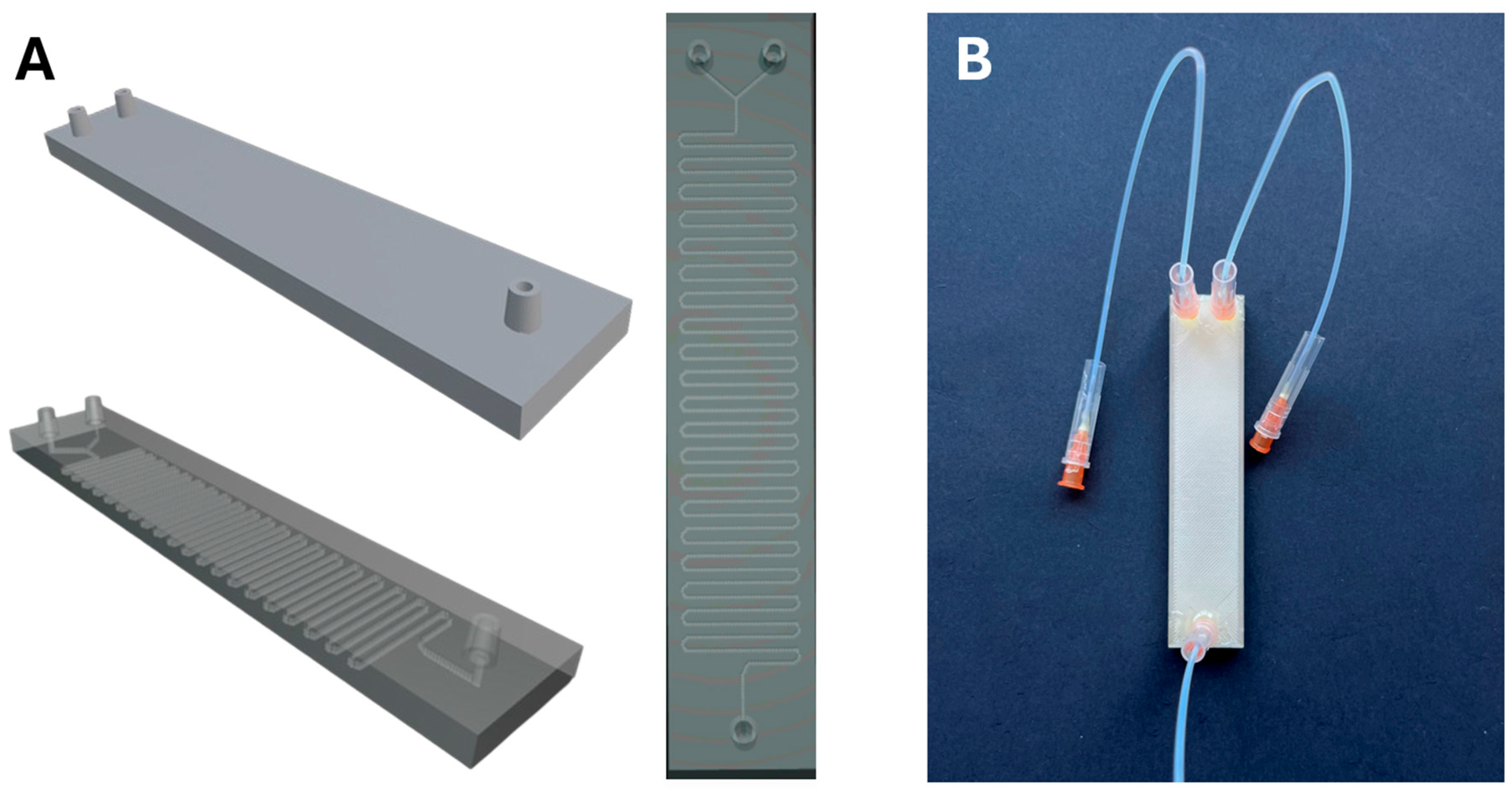 Nanomaterials 15 01663 g002