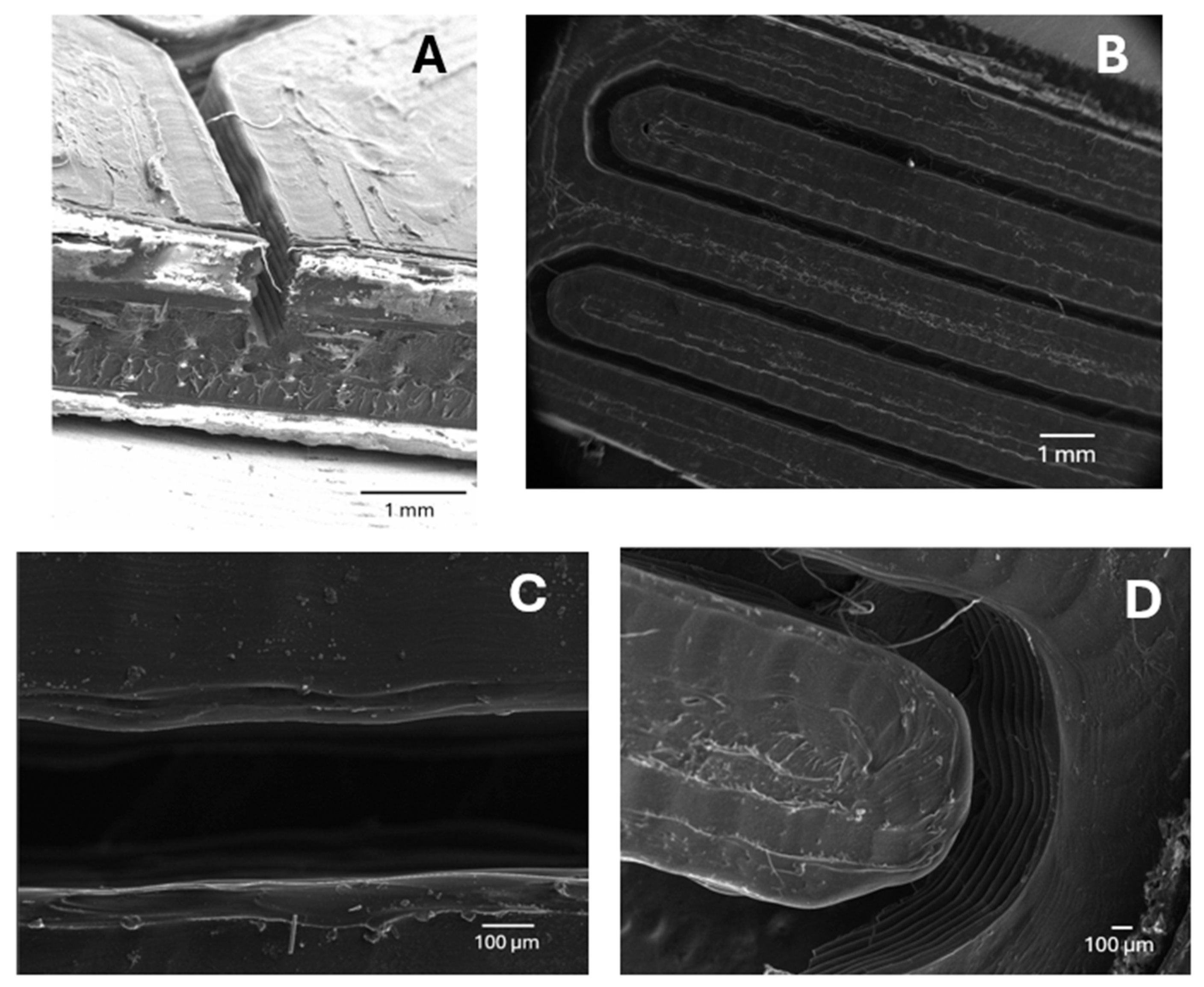 Nanomaterials 15 01663 g003