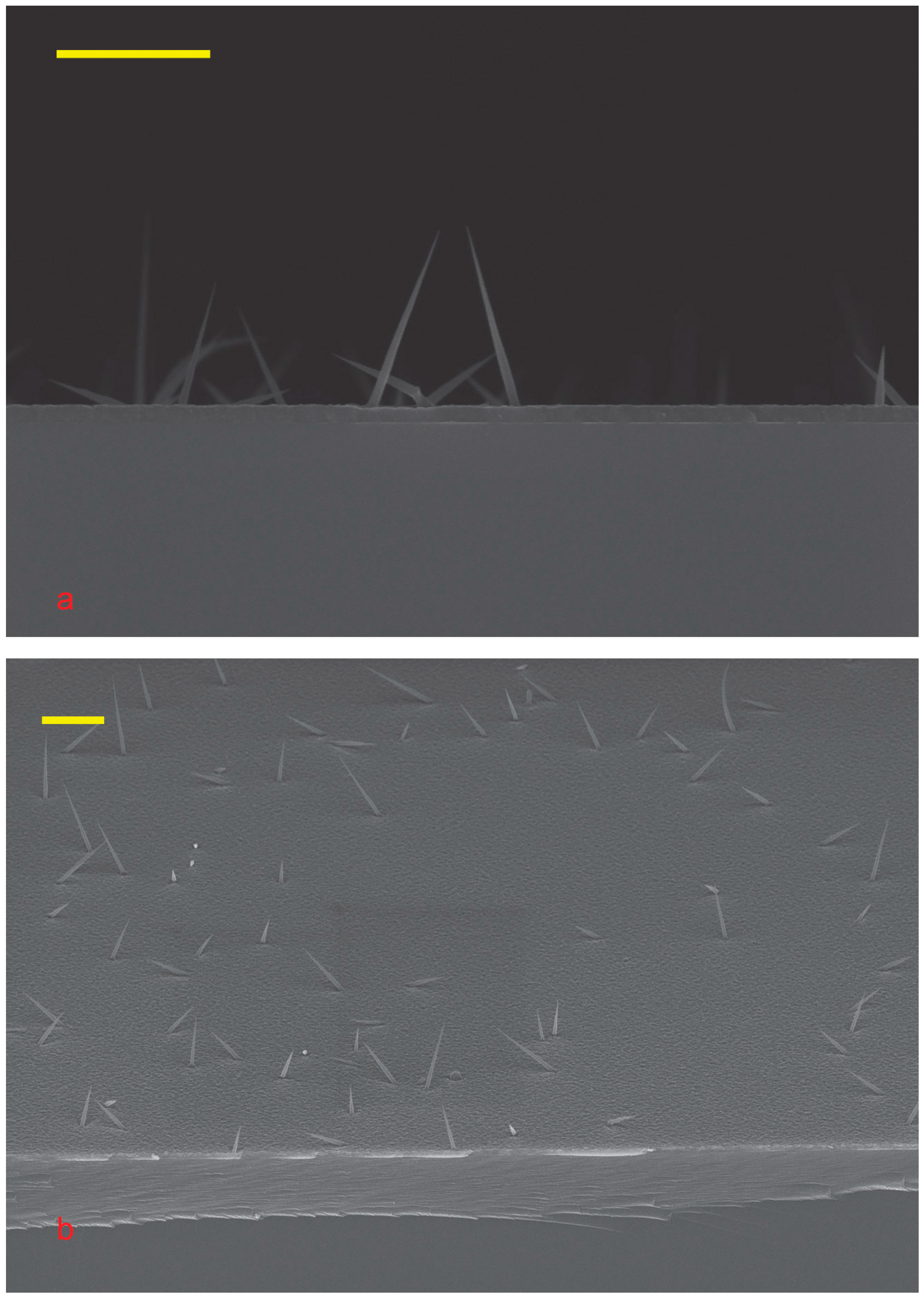 Nanomaterials 15 01664 g004