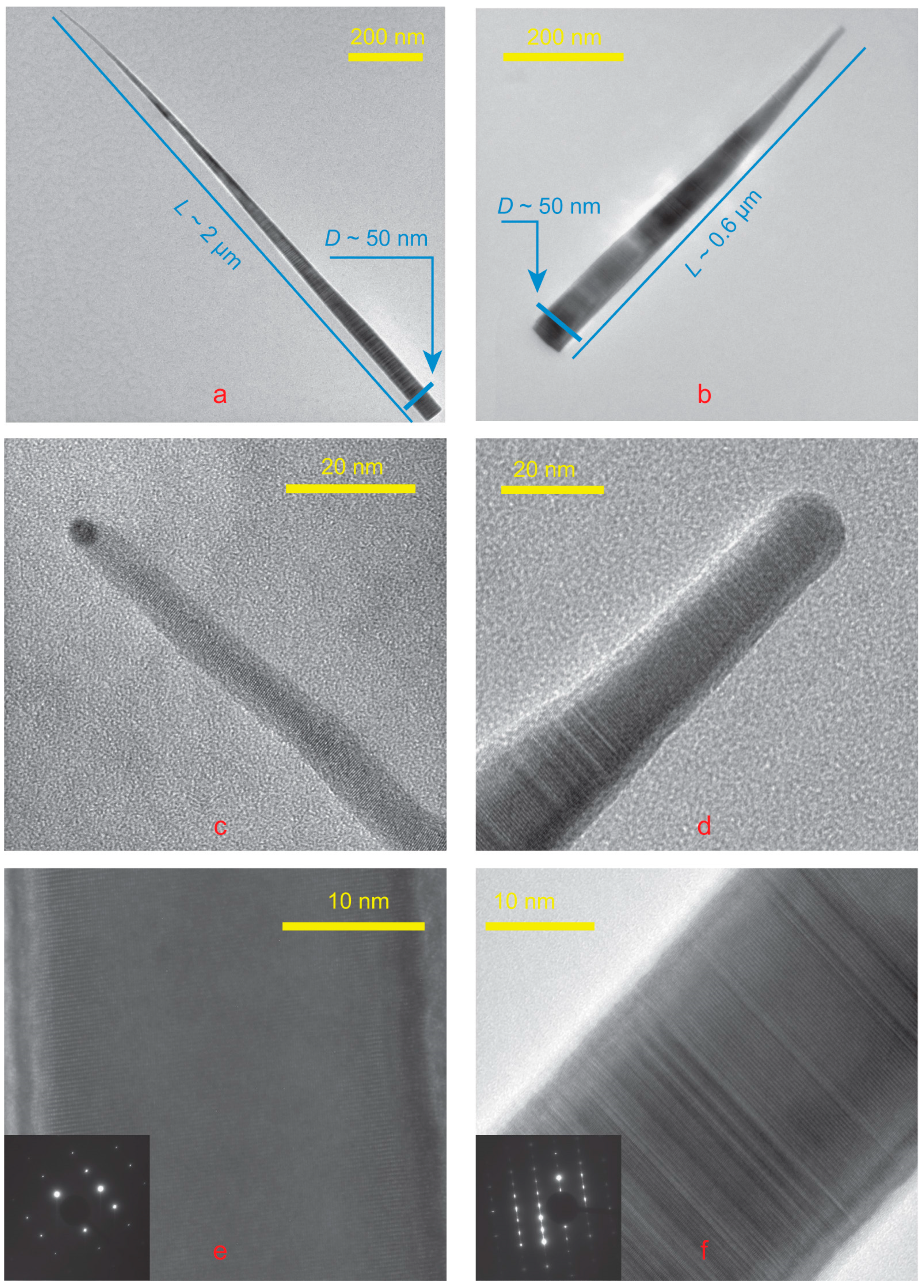 Nanomaterials 15 01664 g005