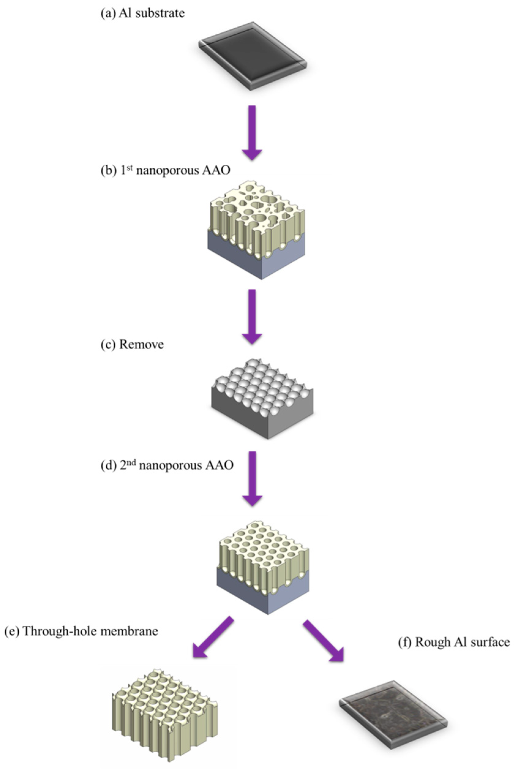 Nanomaterials 15 01665 g006 Nanomaterials 15 01665 g006