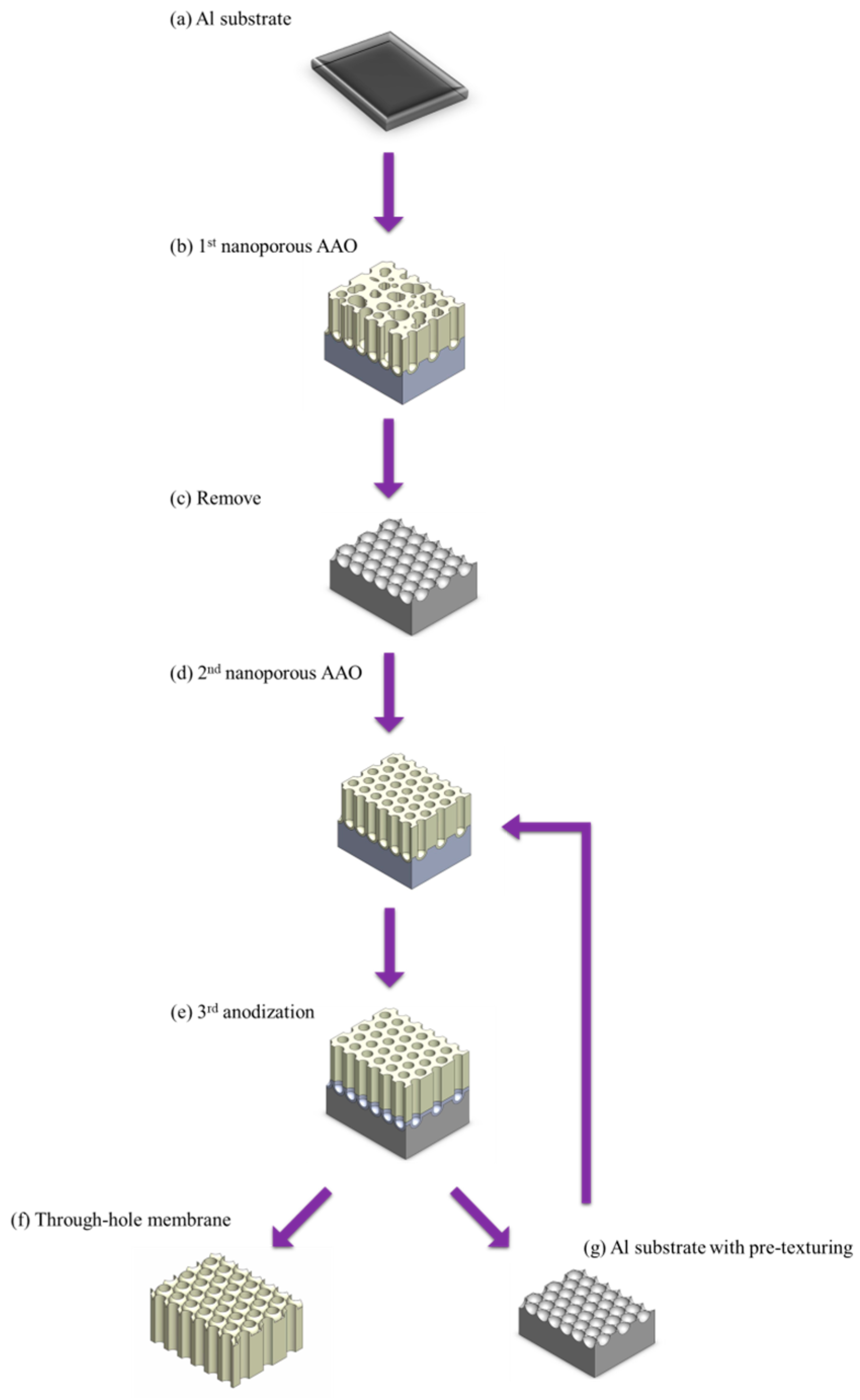 Nanomaterials 15 01665 g007 Nanomaterials 15 01665 g007