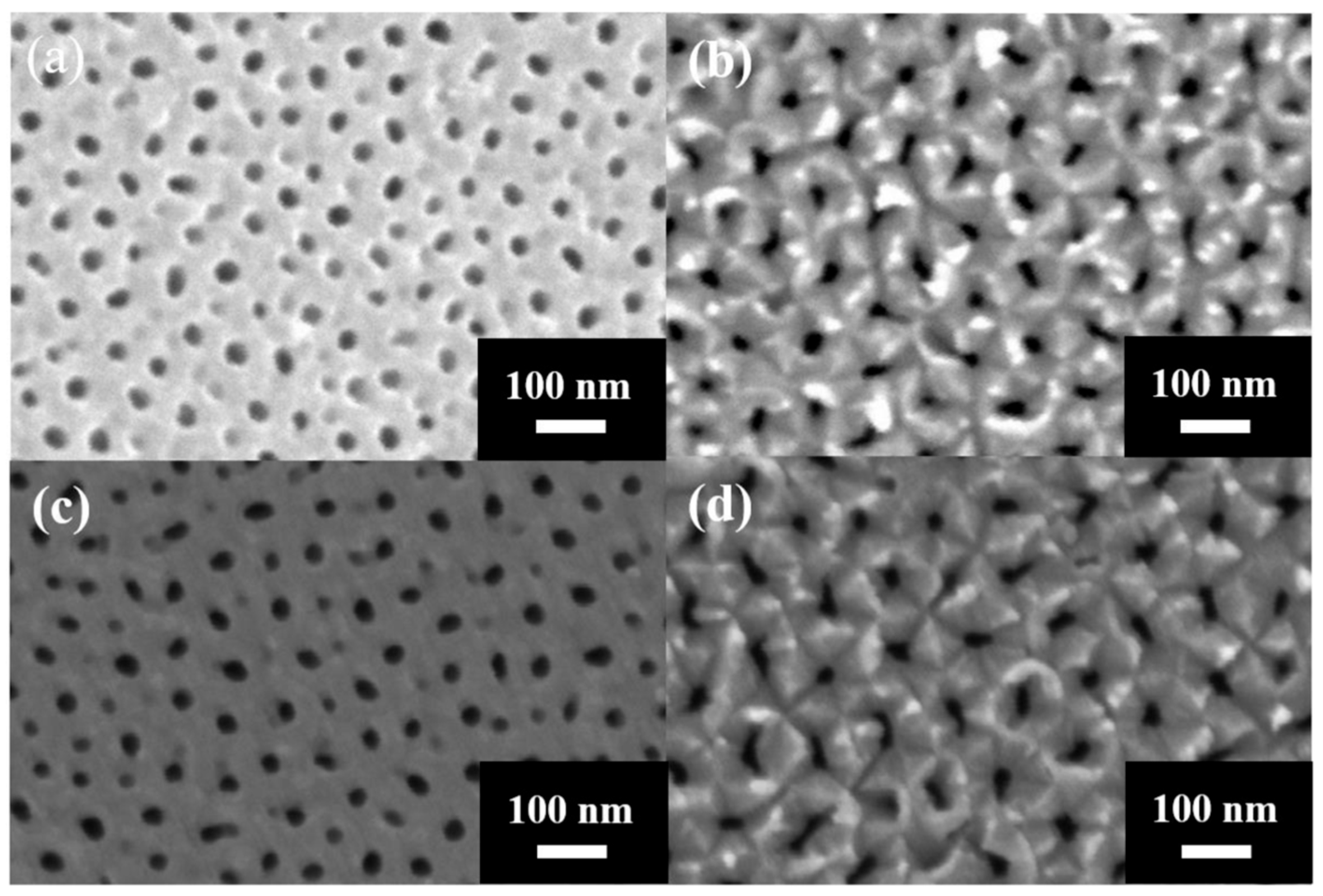 Nanomaterials 15 01665 g009 Nanomaterials 15 01665 g009