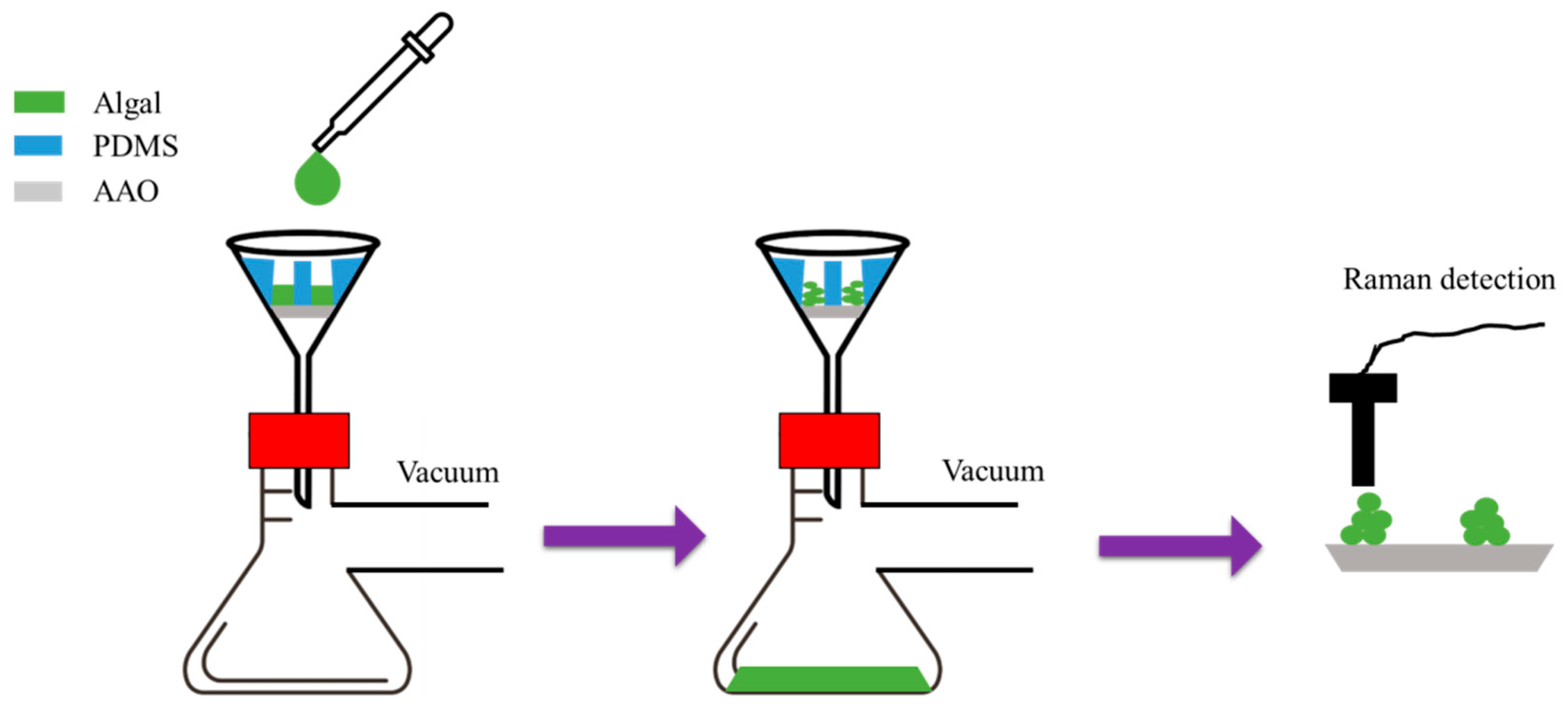 Nanomaterials 15 01665 g013 Nanomaterials 15 01665 g013