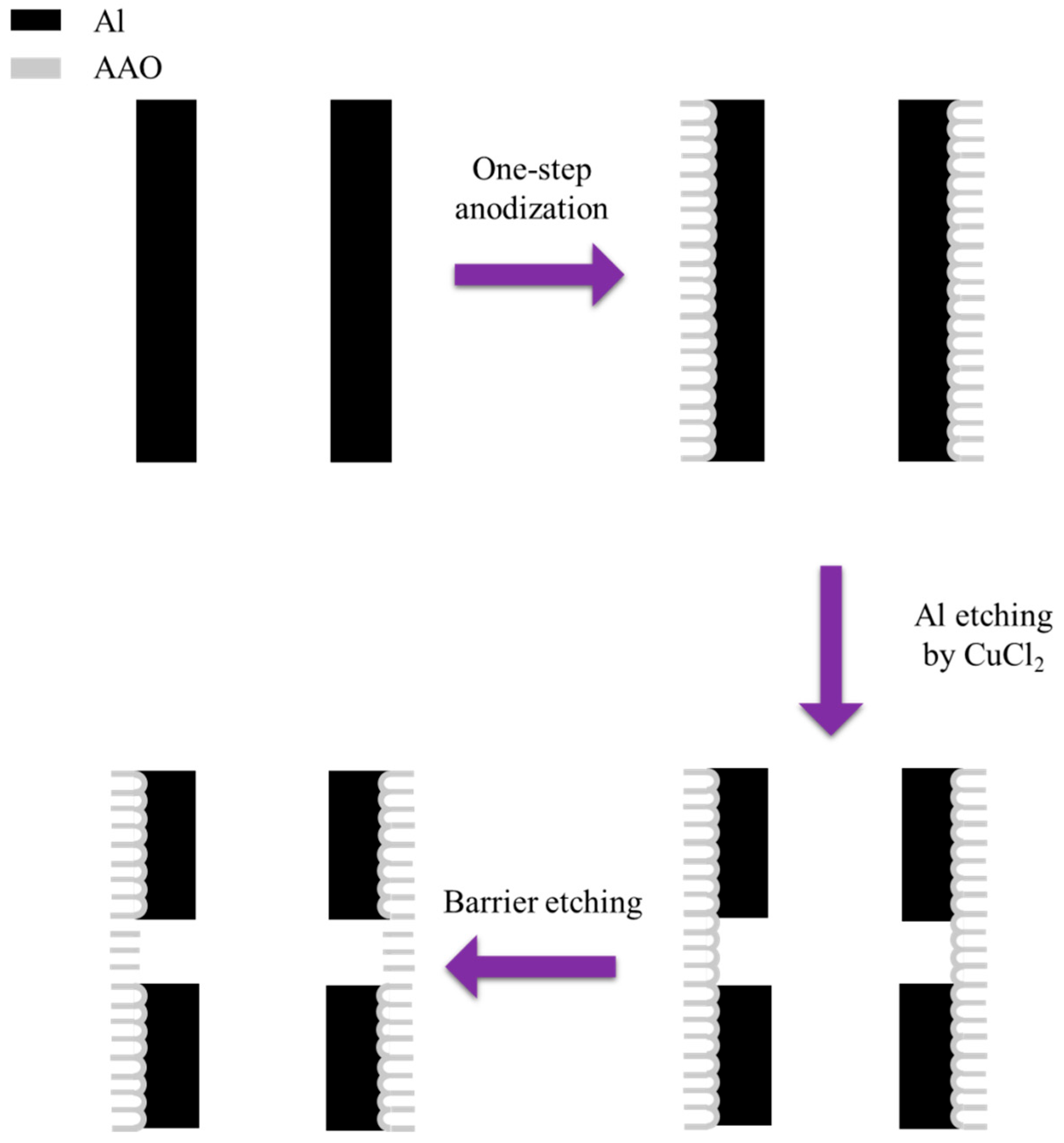 Nanomaterials 15 01665 g014 Nanomaterials 15 01665 g014
